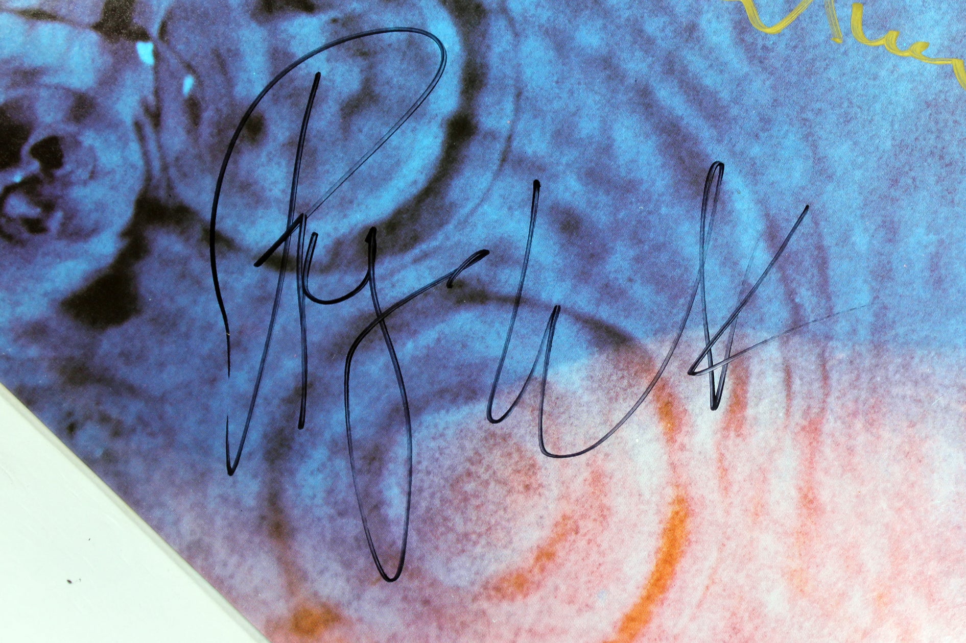 Pink Floyd Roger Waters & David Gilmour Signed Meddle Album Cover W/ Vinyl BAS