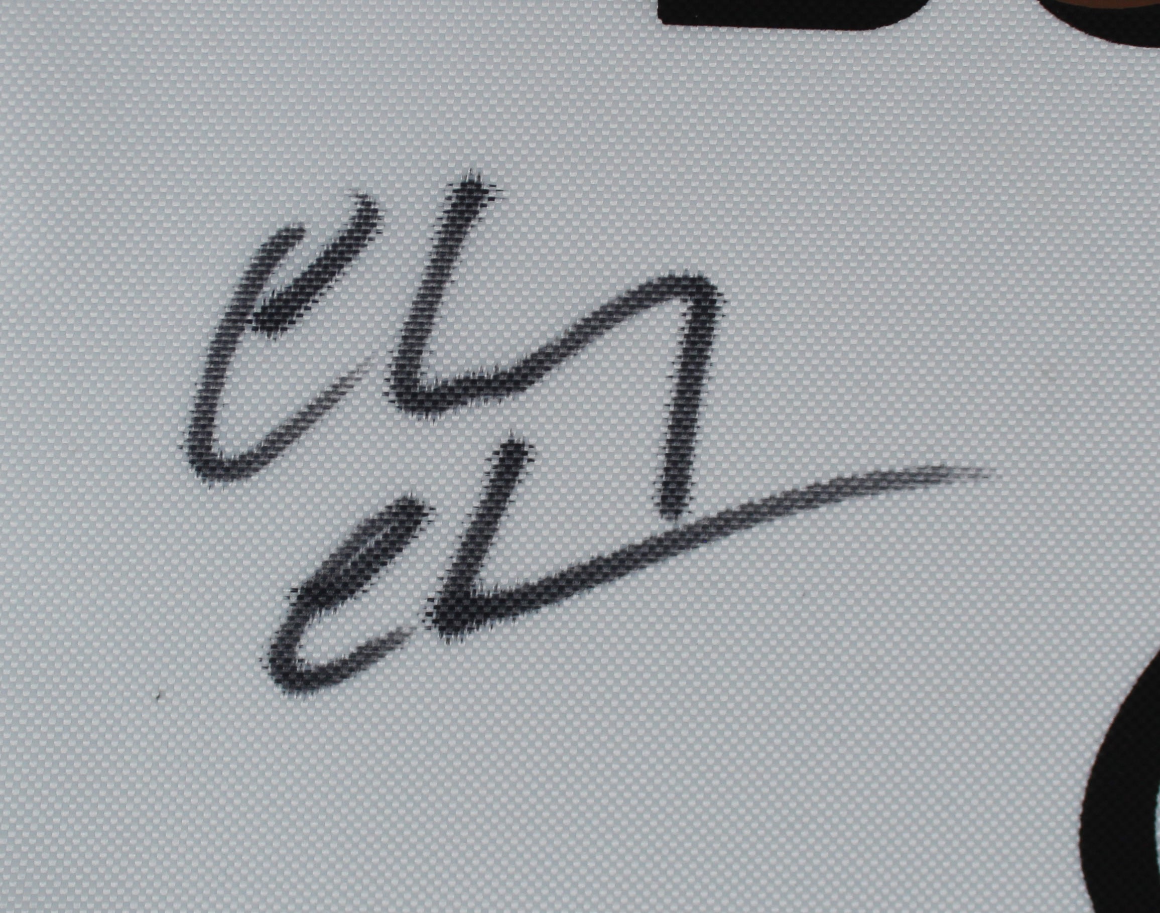Chevy Chase Caddyshack Authentic Signed Bushwood Country Club Flag PSA #7A92413