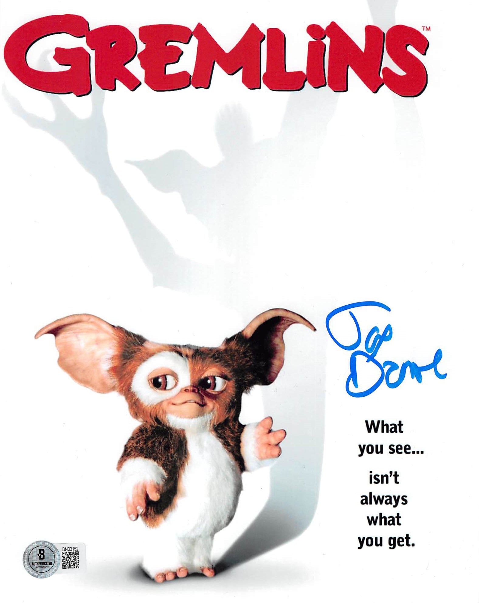 Joe Dante Gremlins Authentic Signed 8x10 Vertical Photo w/ Blue Sig BAS 1