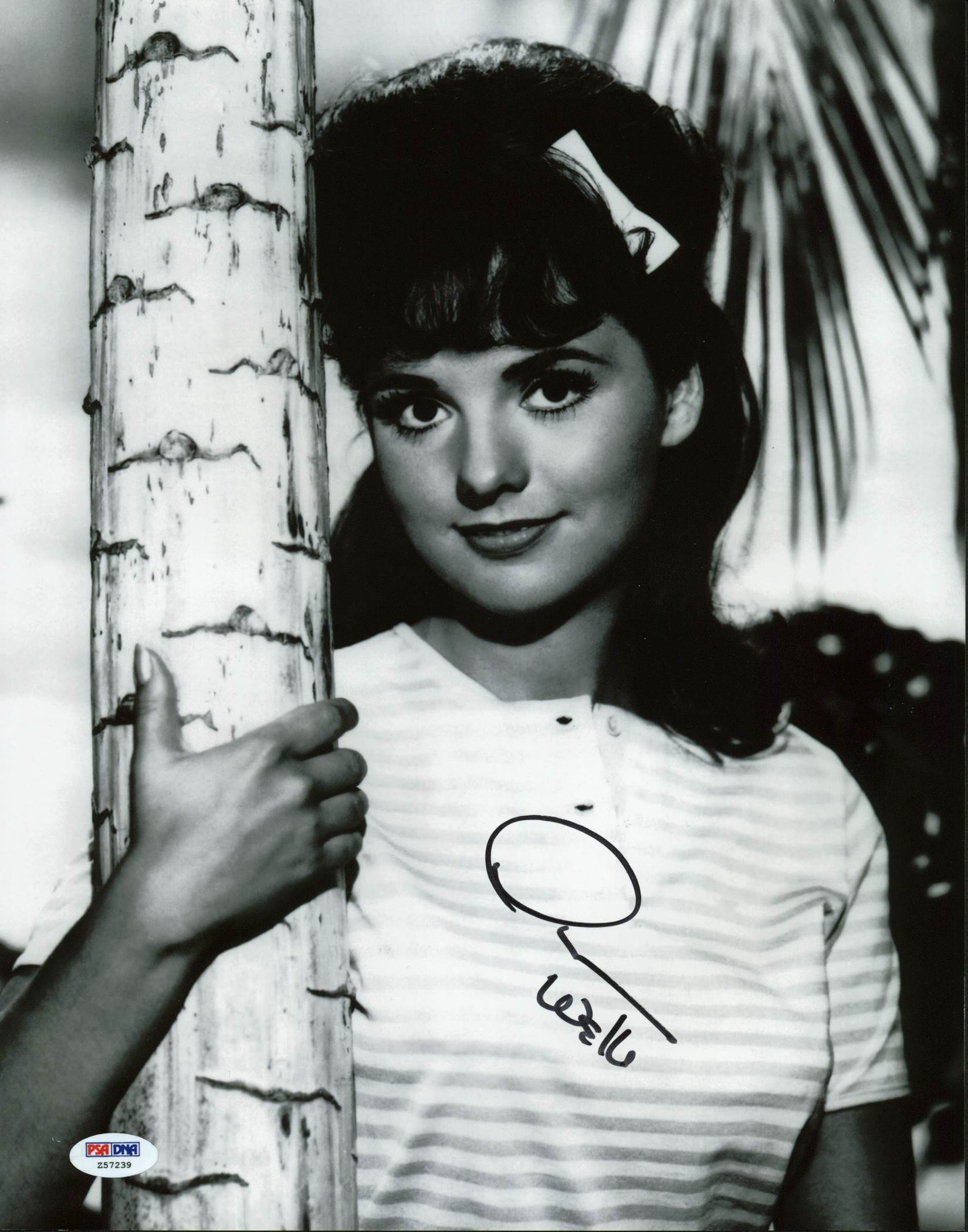 Dawn Wells Gilligan's Island Signed Authentic 11X14 Photo PSA/DNA #Z57239