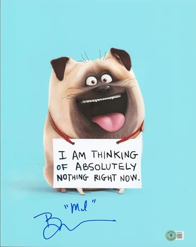 Bobby Moynihan The Secret Life of Pets 2 "Mel" Signed 11x14 Photo BAS #BJ084541