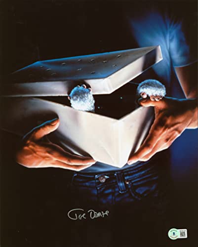 Joe Dante Gremlins Authentic Signed 11x14 Photo Autographed BAS #BF06120