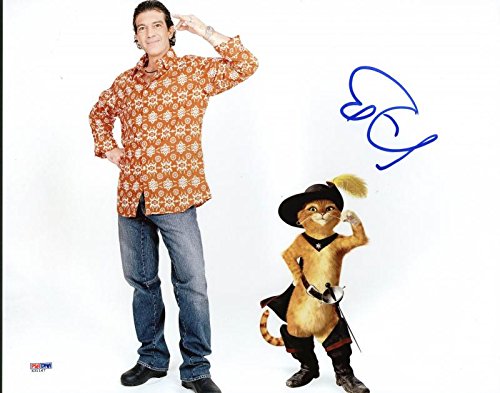 Antonio Banderas Puss In Boots Signed Authentic 11X14 Photo PSA/DNA #X31167