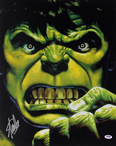 Stan Lee Authentic Signed The Hulk 16X20 Photo Marvel Comics Autograph PSA/DNA 2
