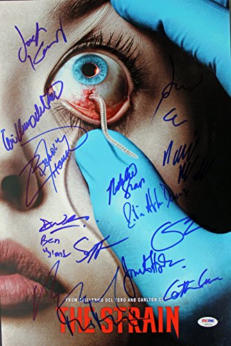The Strain Cast (11) (Stoll, Sammel, Astin) Signed 12x18 Photo PSA/DNA #AB03310