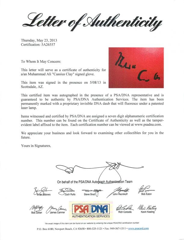 Muhammad Ali "Cassius Clay" Authentic Signed Boxing Glove PSA/DNA ITP #5A26557