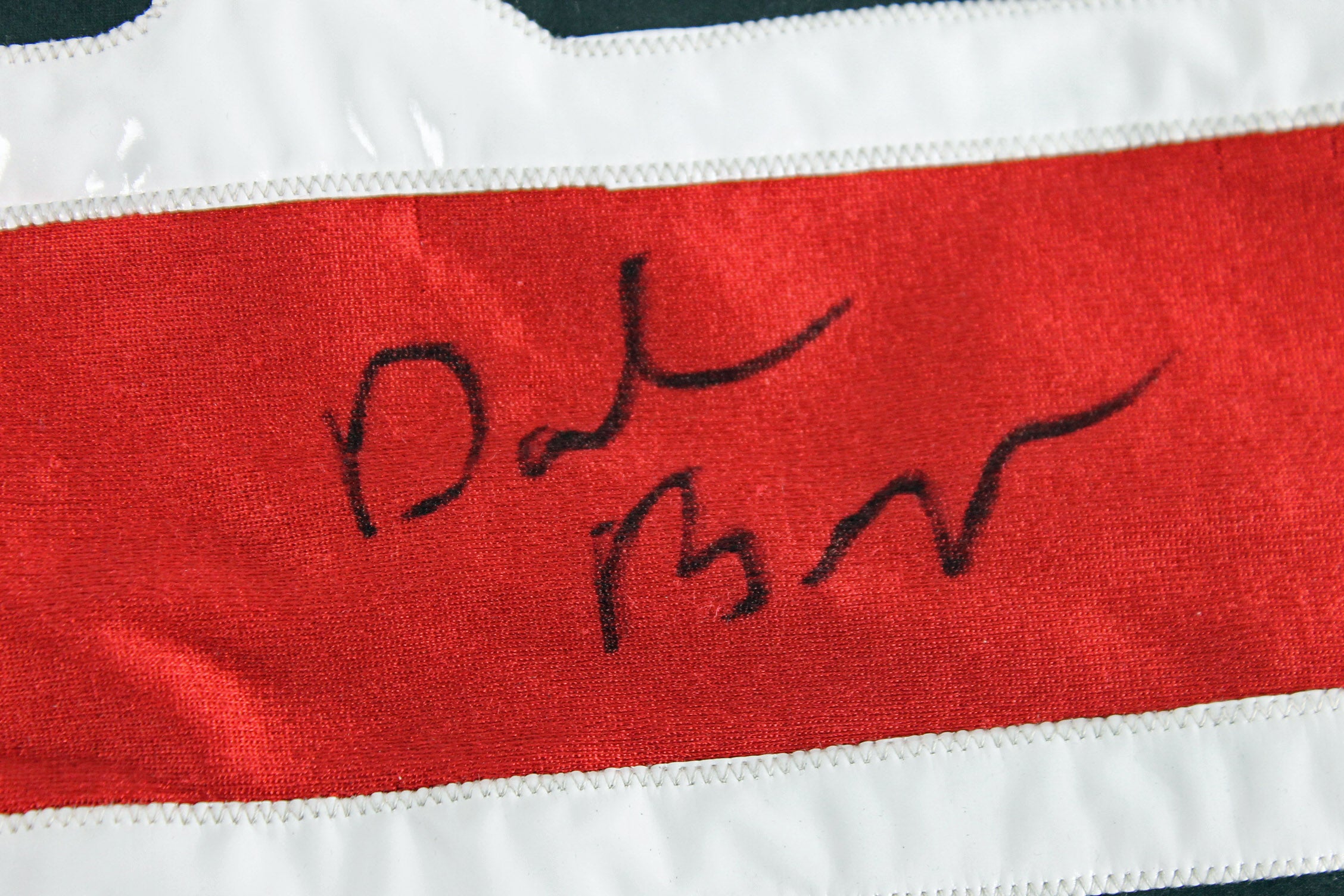 Daniel Bryan Authentic Signed Match Worn Leg Sleeves Autographed BAS