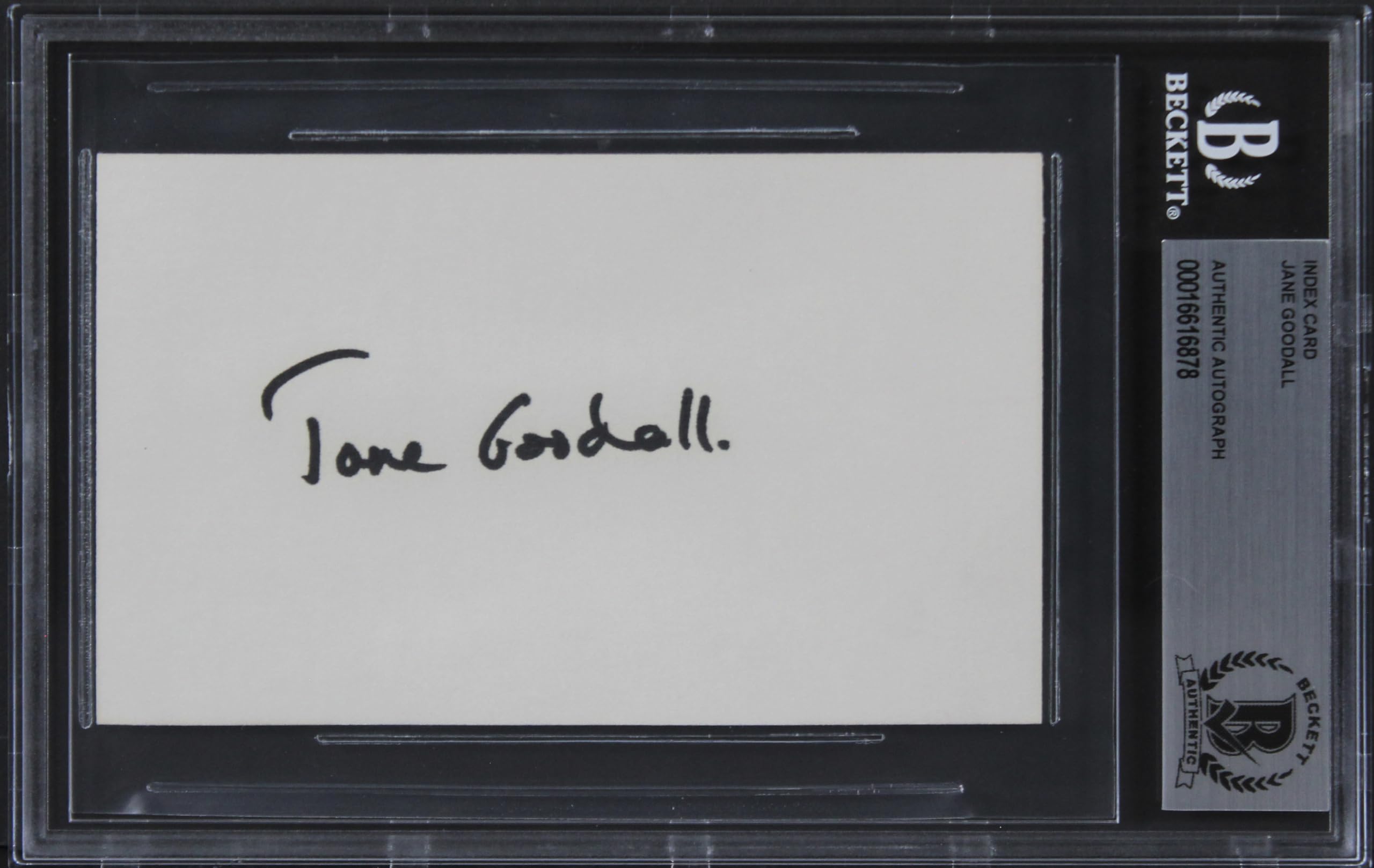 Jane Goodall Gorillas in the Mist Authentic Signed 3x5 Index Card BAS Slabbed 1