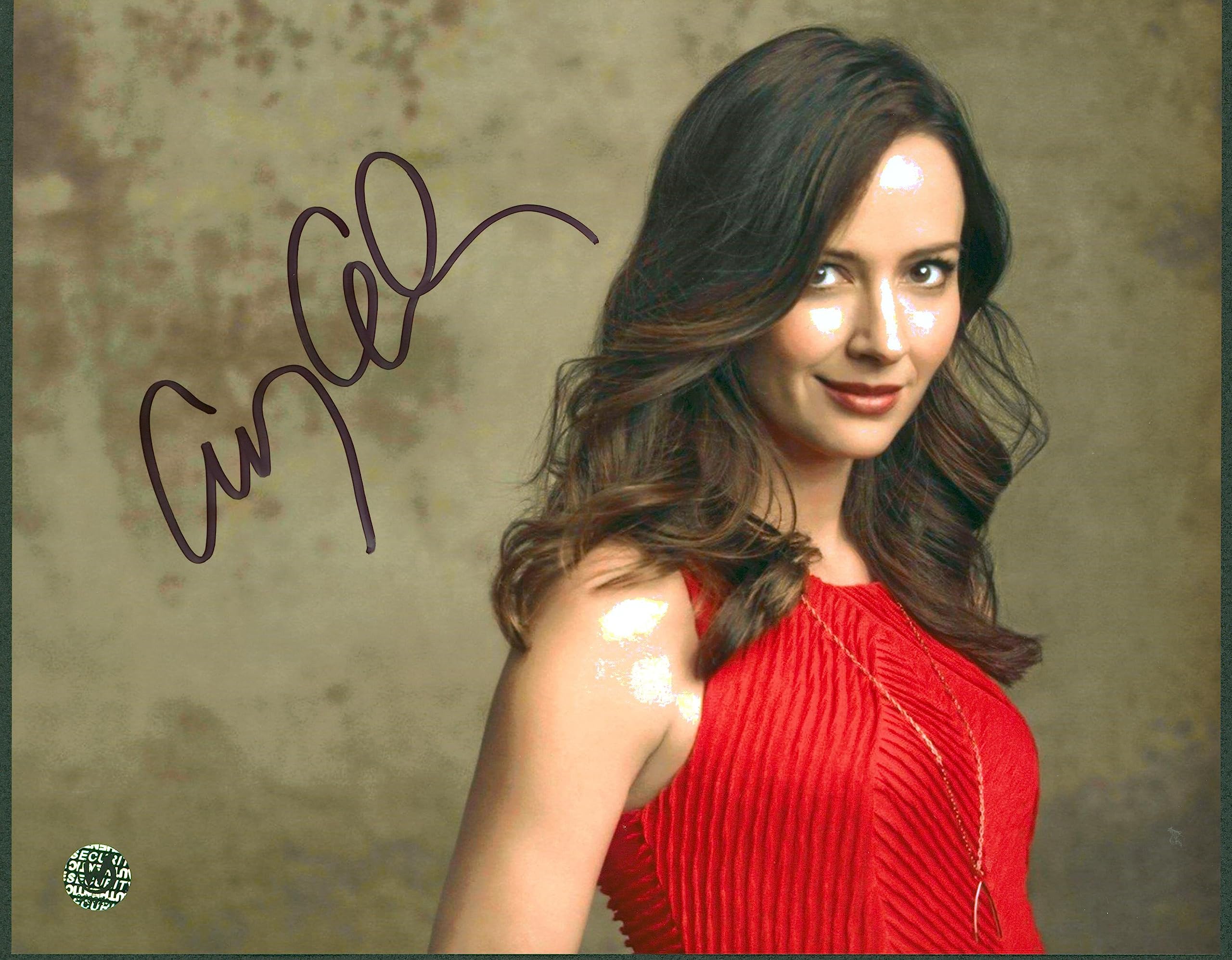 Amy Acker Person of Interest Authentic Signed 8x10 Photo Wizard World #016626