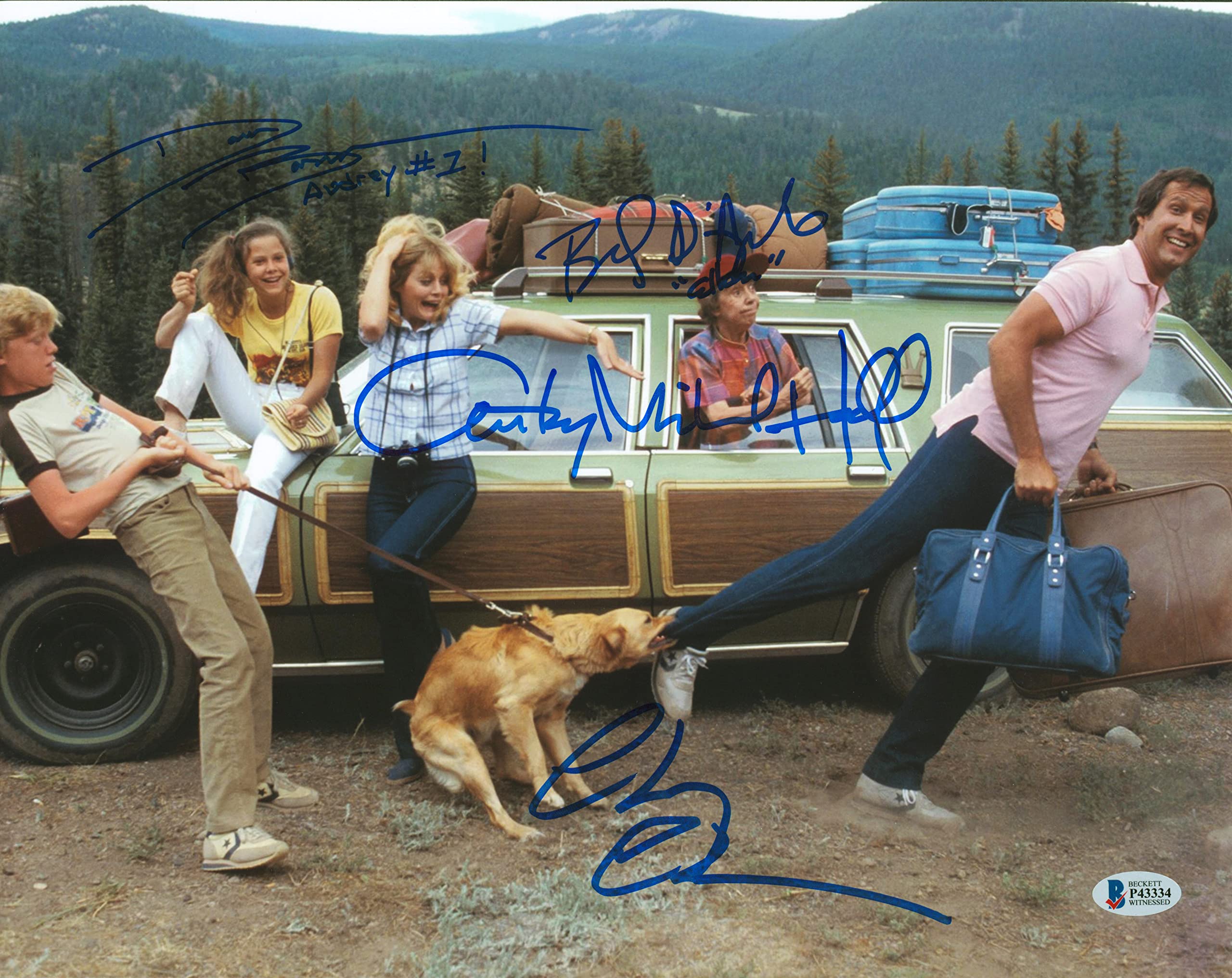 Vacation (4) Chase, D'Angelo, Hall & Barron Signed 11x14 Photo BAS Witnessed 1