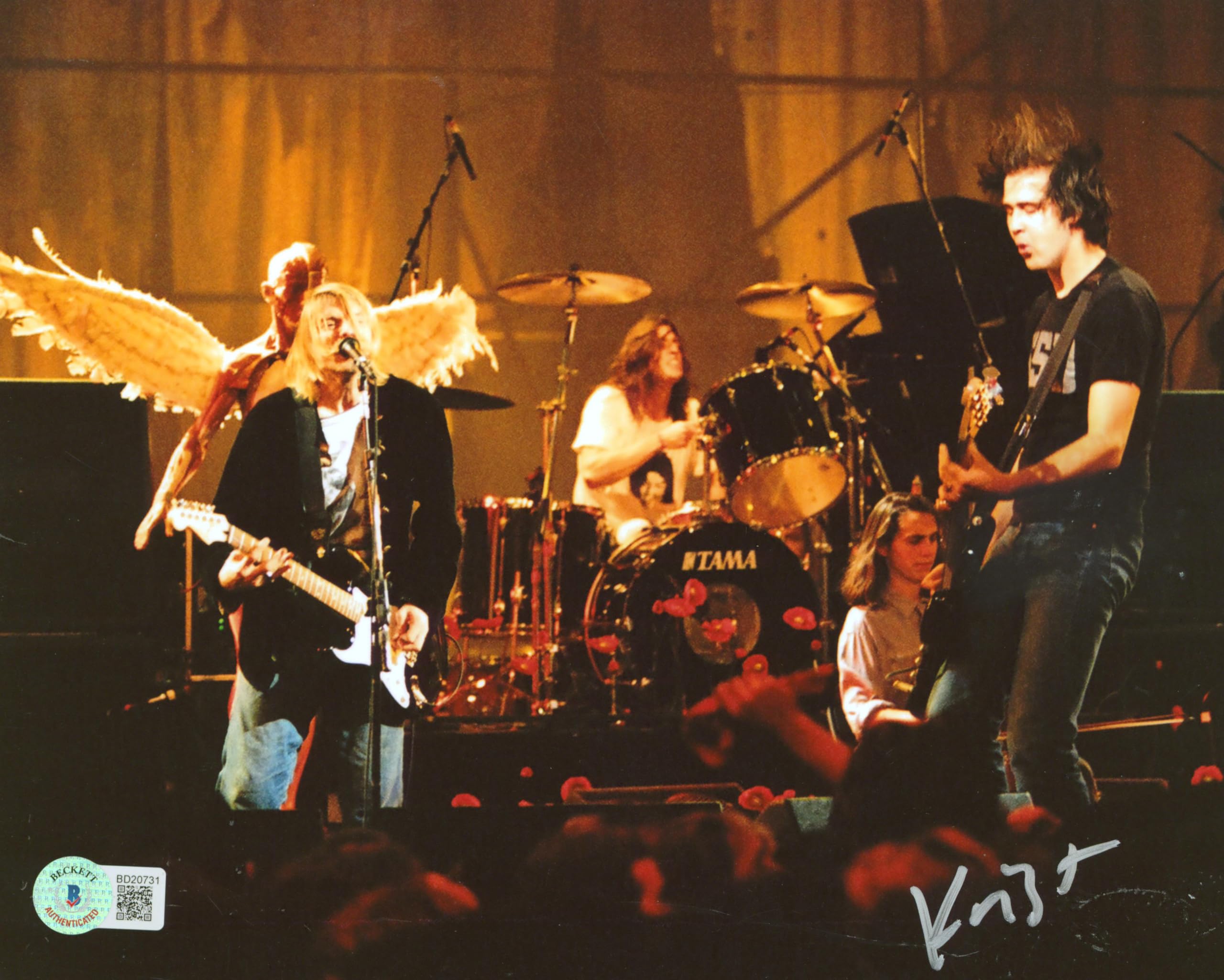 Krist Novoselic Nirvana Authentic Signed 8x10 Photo Autographed BAS #BD20731