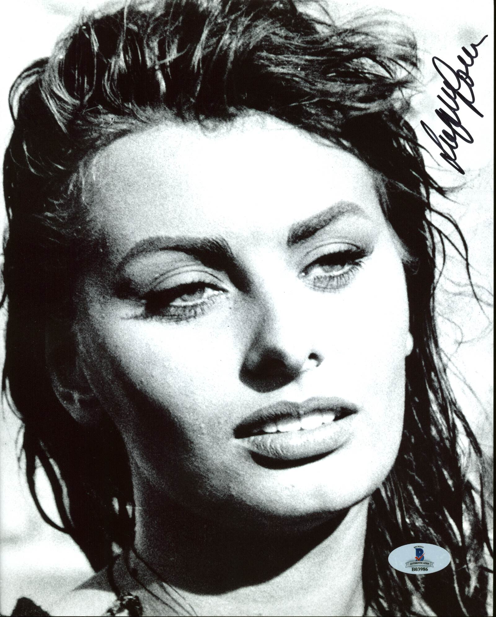 Sophia Loren Sexy Authentic Signed 8X10 Photo Autographed BAS #B03986
