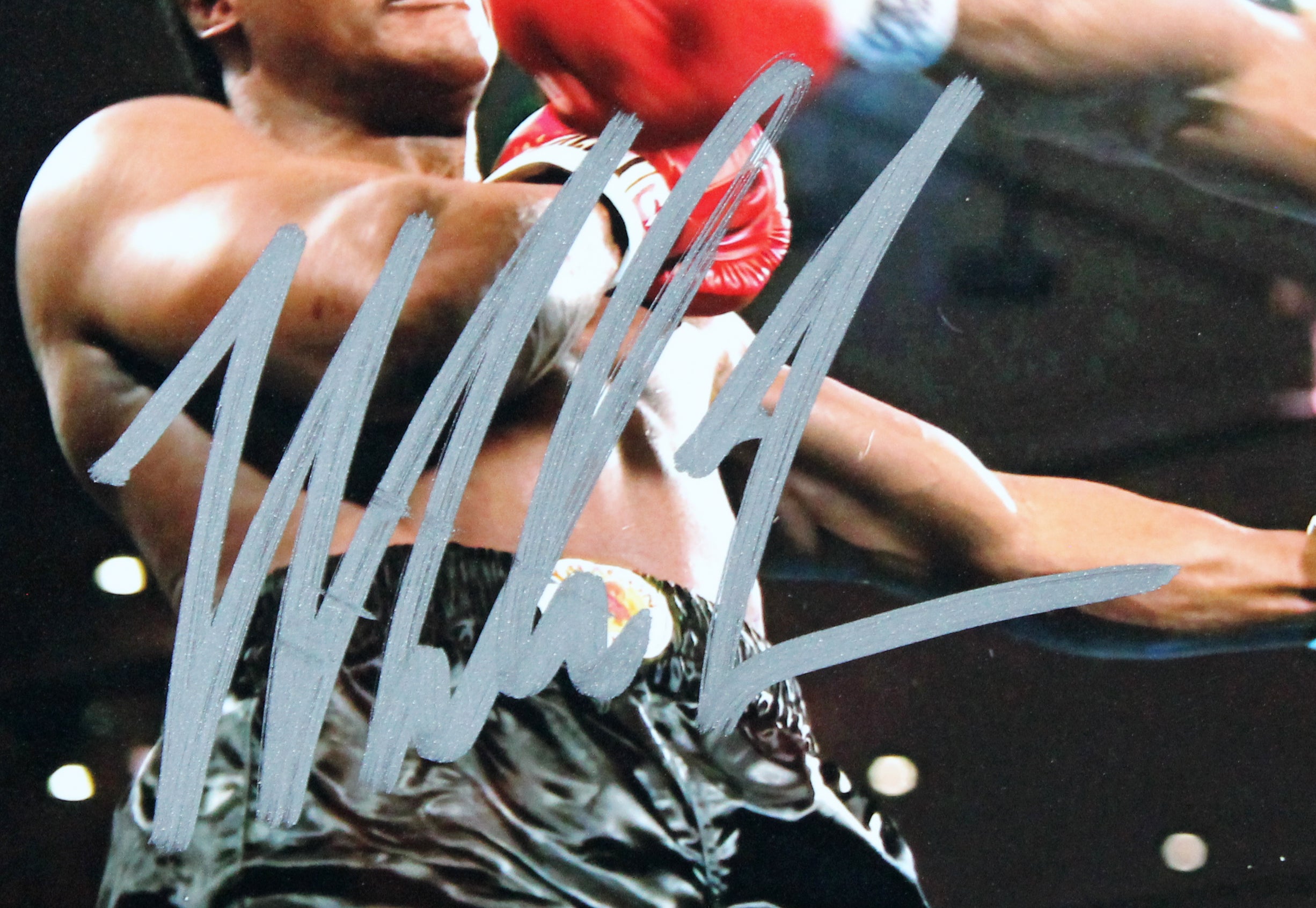 Mike Tyson Authentic Signed 8x10 Horizontal Photo vs Trevor Berbick BAS #BK74924
