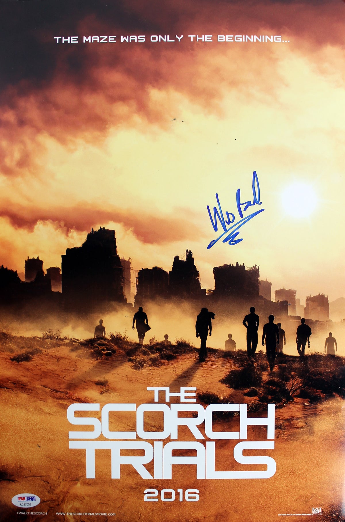 Wes Ball Maze Runner: Scorch Trials Authentic Signed 12x18 Photo PSA #AC17053