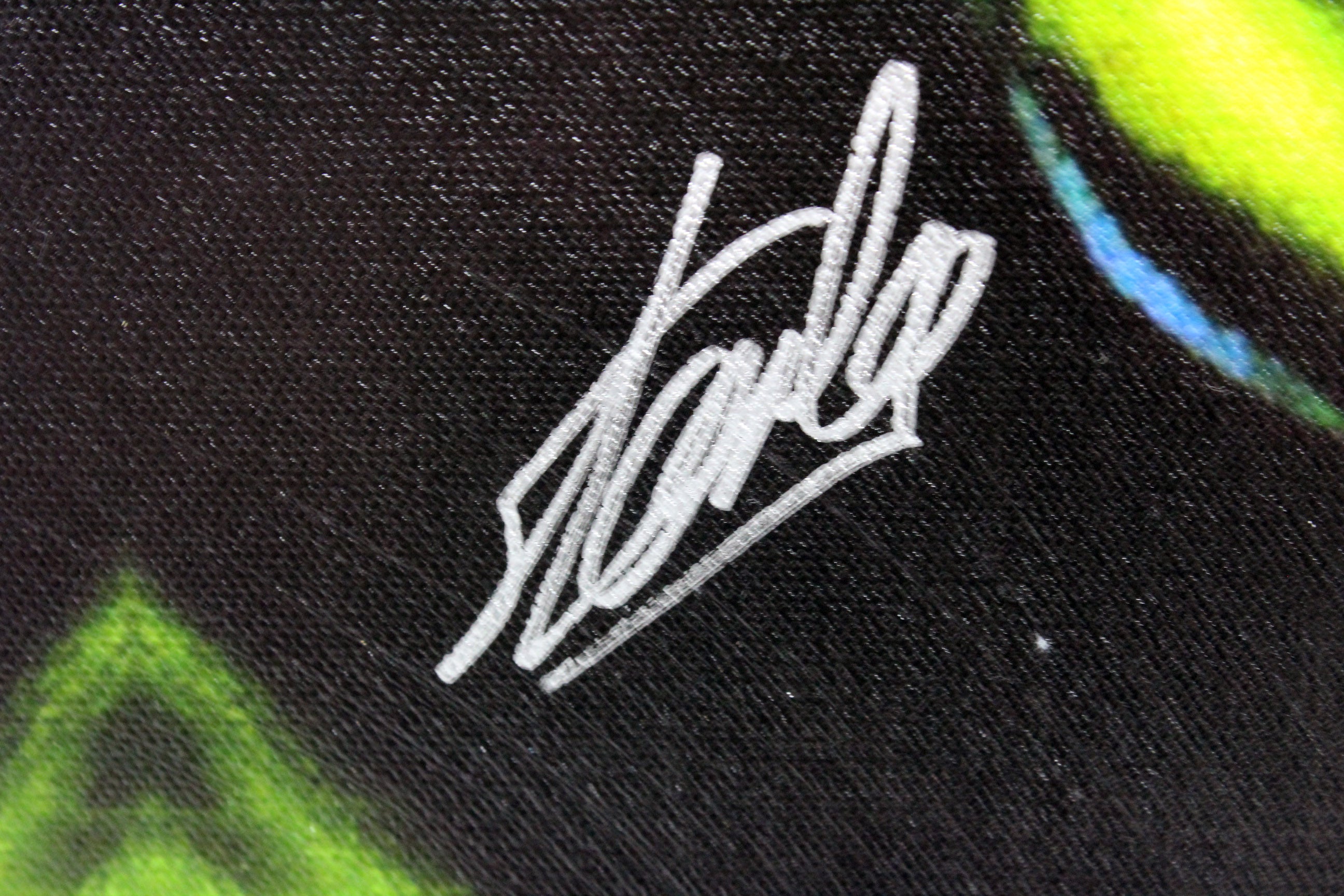 Stan Lee Authentic Signed 16x20 The Incredible Hulk Canvas PSA/DNA #W18517