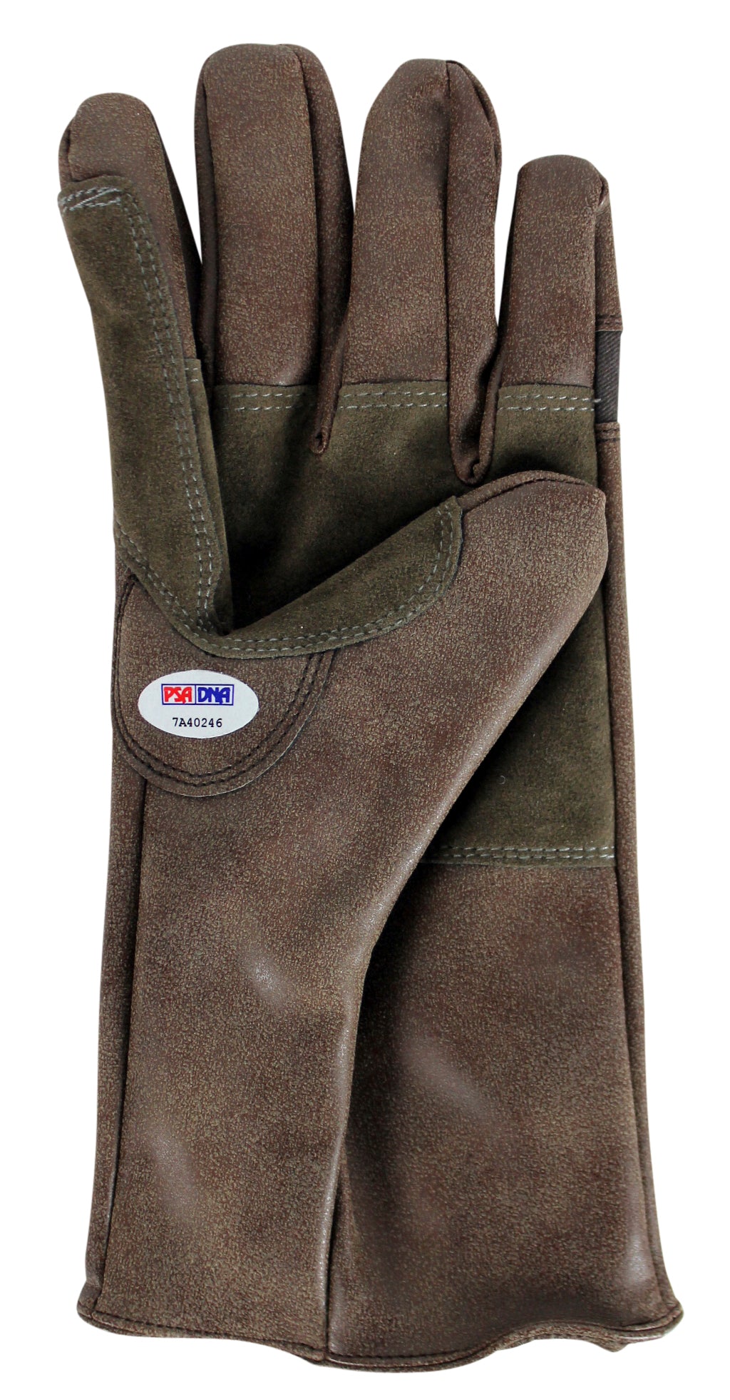 Daisy Ridley Star Wars The Force Awakens Authentic Signed Glove PSA #7A40246