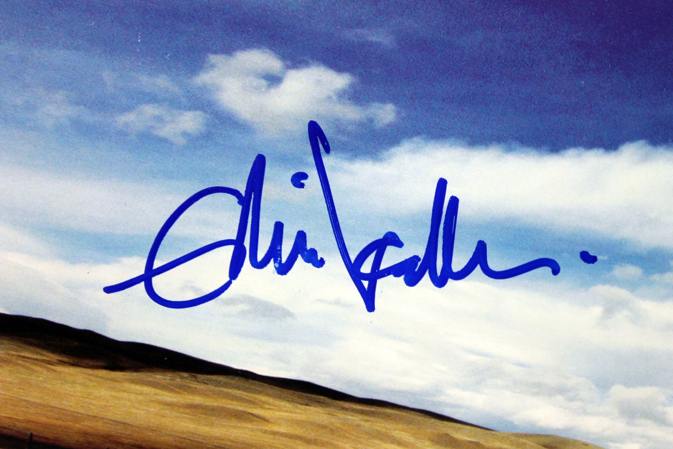 Eddie Vedder Pearl Jam Authentic Signed Yield Album Cover W/ Vinyl BAS #A85424