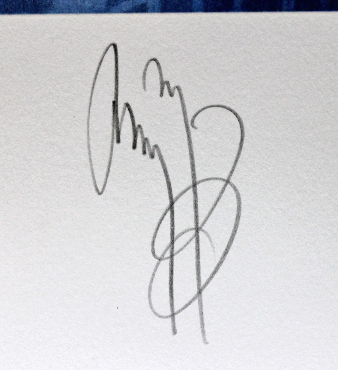 Jimmy Page Signed 30x33 Sandra Lawrence Art Print LE #219/300 Auto Graded 10 BAS