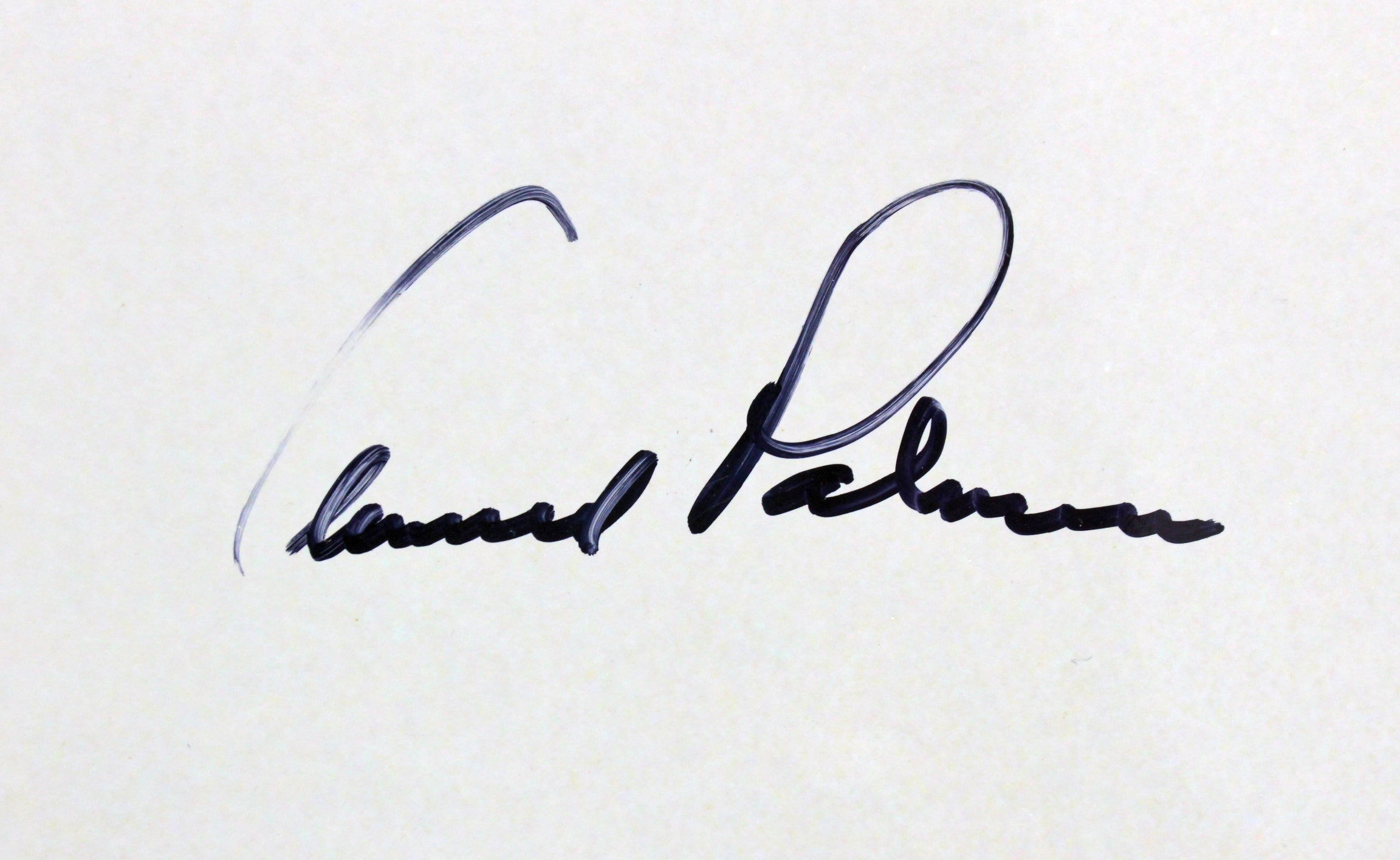 Arnold Palmer Authentic Signed 18x24 Photo Autographed BAS #A71976