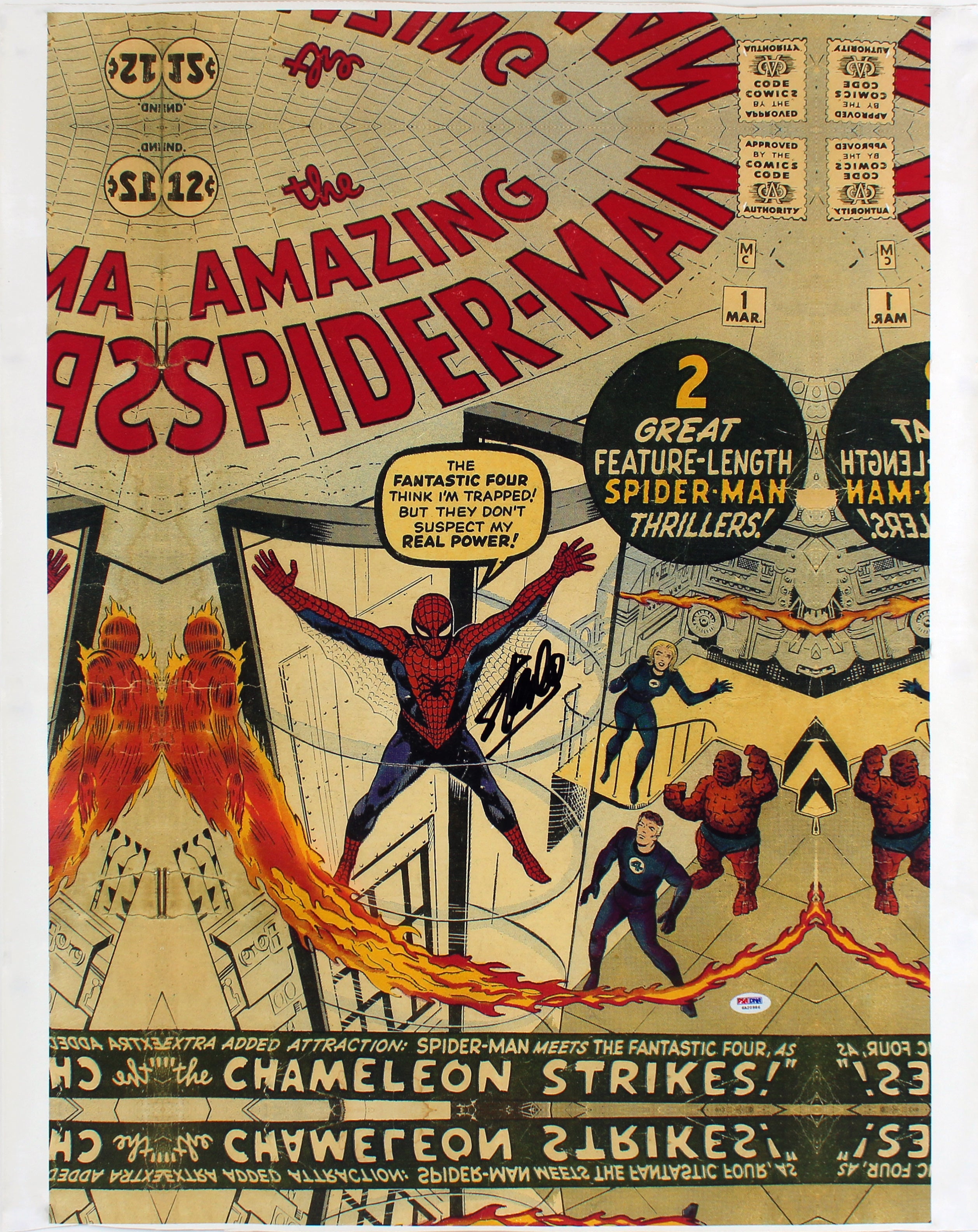 Stan Lee Marvel Signed 16x24 The Amazing Spider-Man Canvas PSA/DNA Itp #6A20986