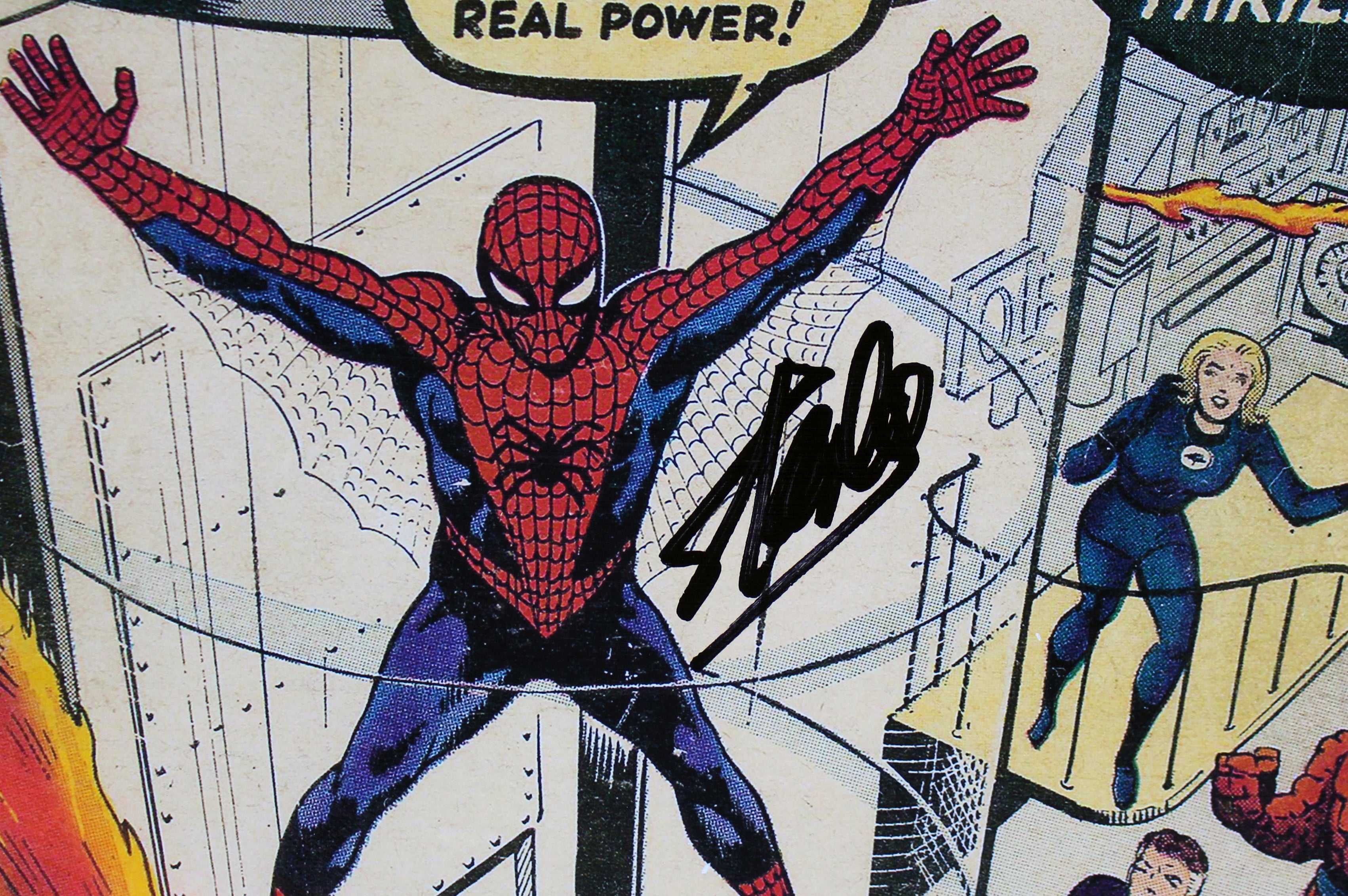 Stan Lee Marvel Signed 16x24 The Amazing Spider-Man Canvas PSA/DNA Itp #6A20986