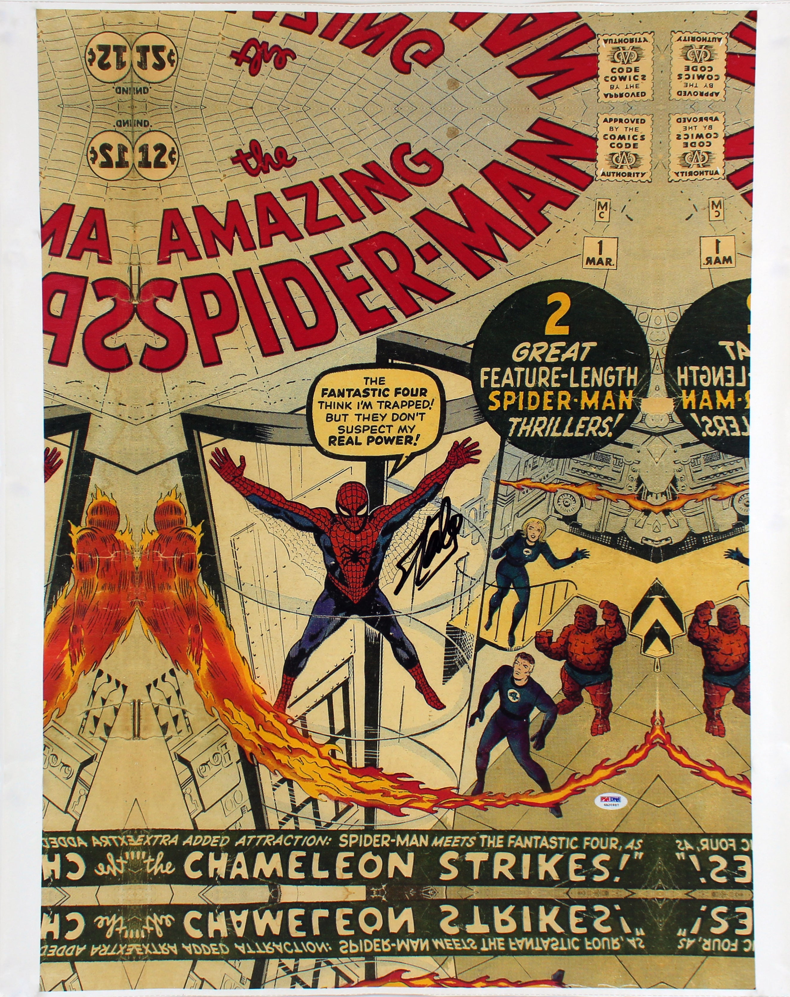 Stan Lee Marvel Signed 16x24 The Amazing Spider-Man Canvas PSA/DNA Itp #6A20997