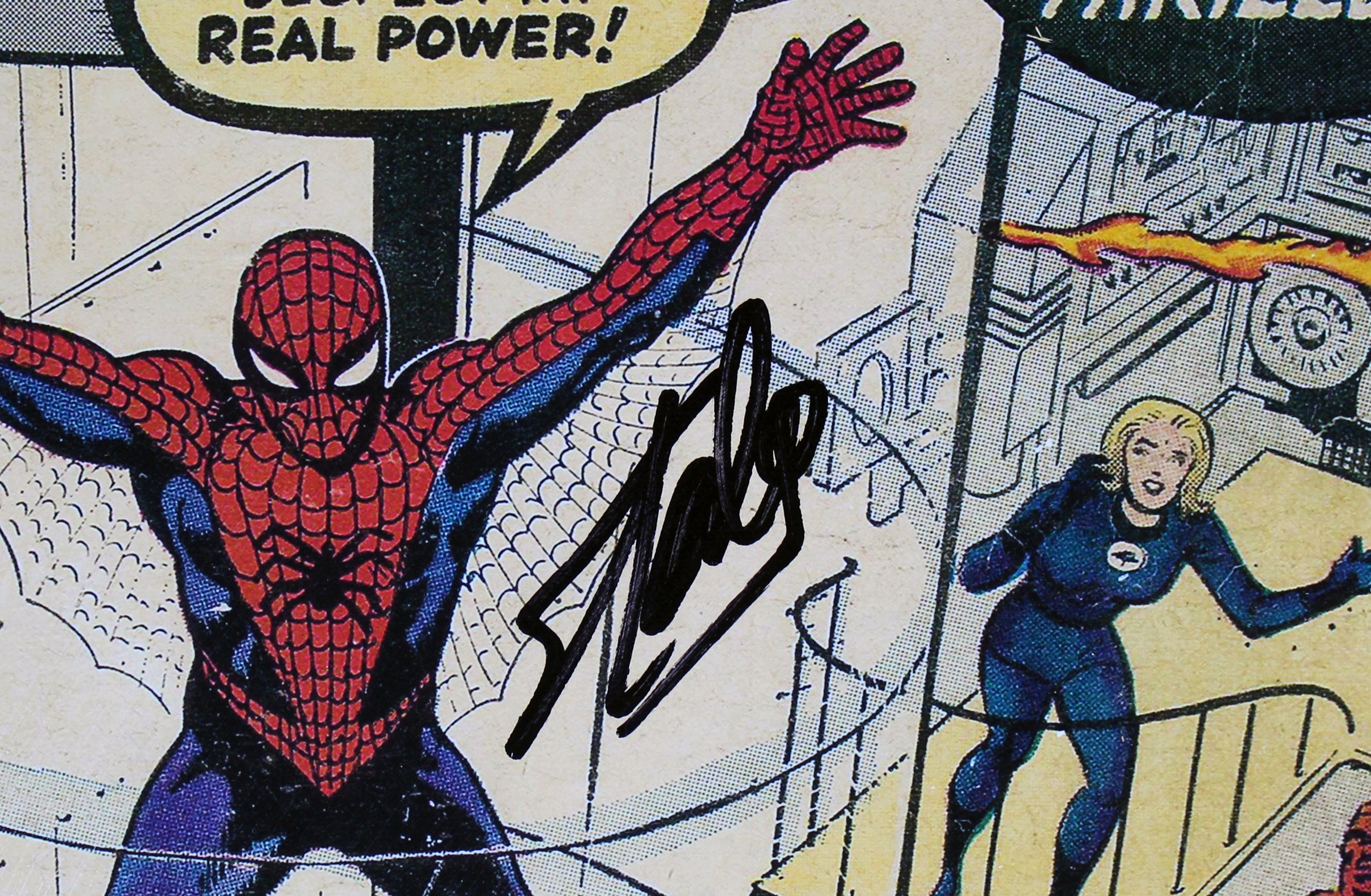 Stan Lee Marvel Signed 16x24 The Amazing Spider-Man Canvas PSA/DNA Itp #6A20997