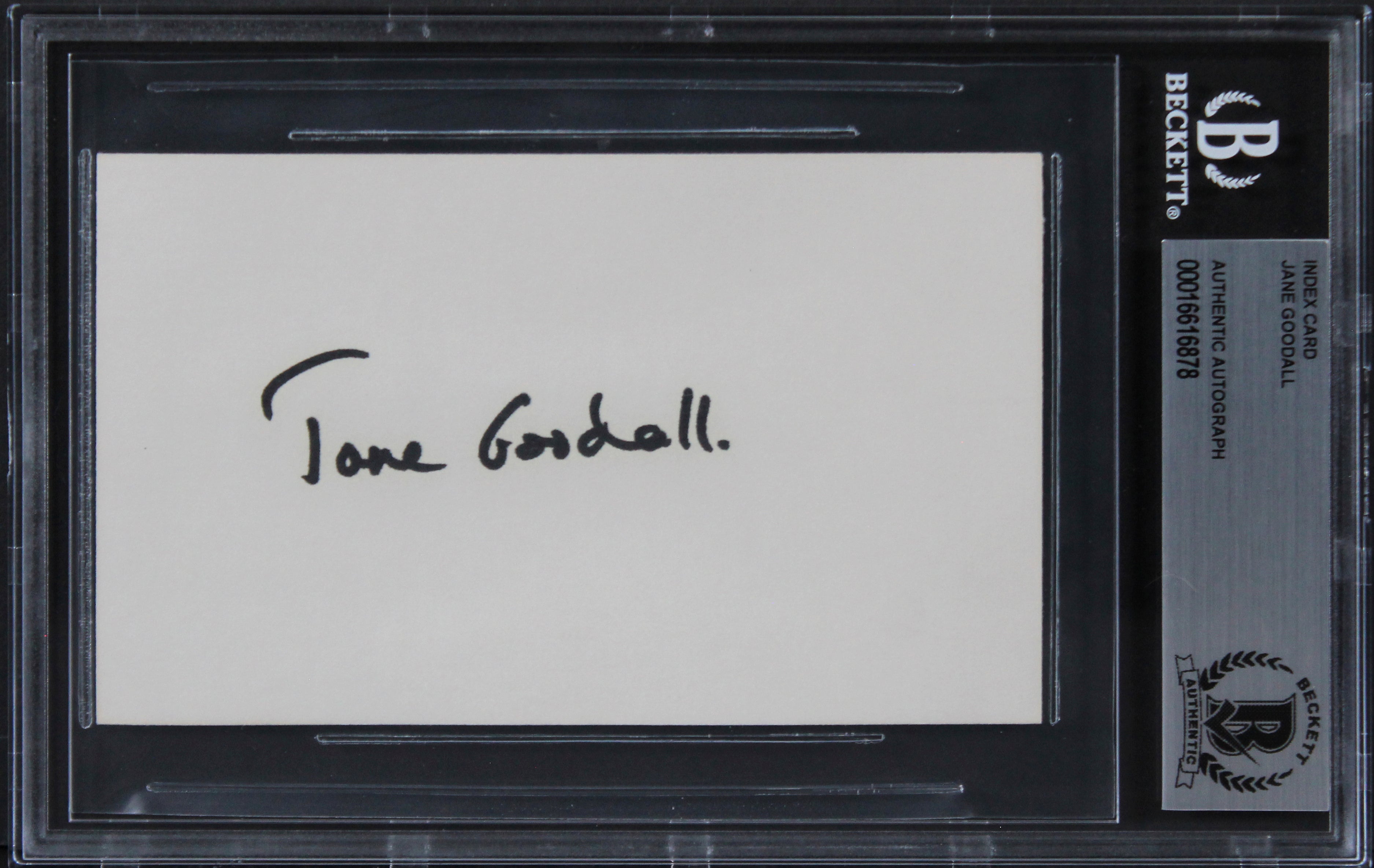 Jane Goodall Gorillas in the Mist Authentic Signed 3x5 Index Card BAS Slabbed 1