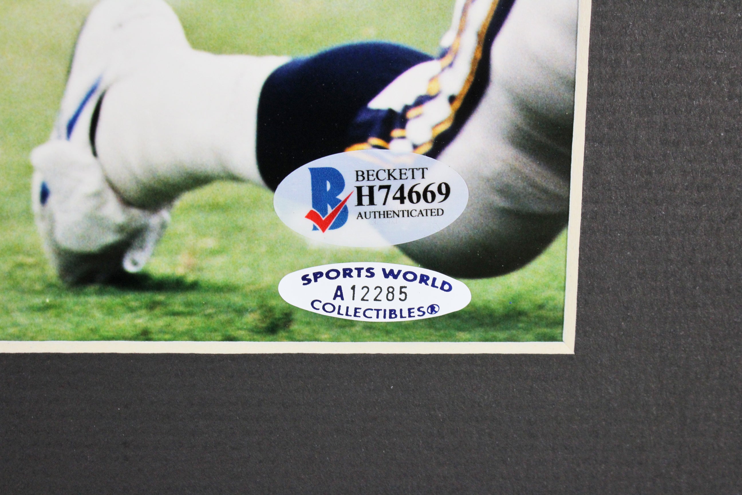 Chargers Junior Seau Authentic Signed 8x10 Matted Photo Autographed BAS #H74669