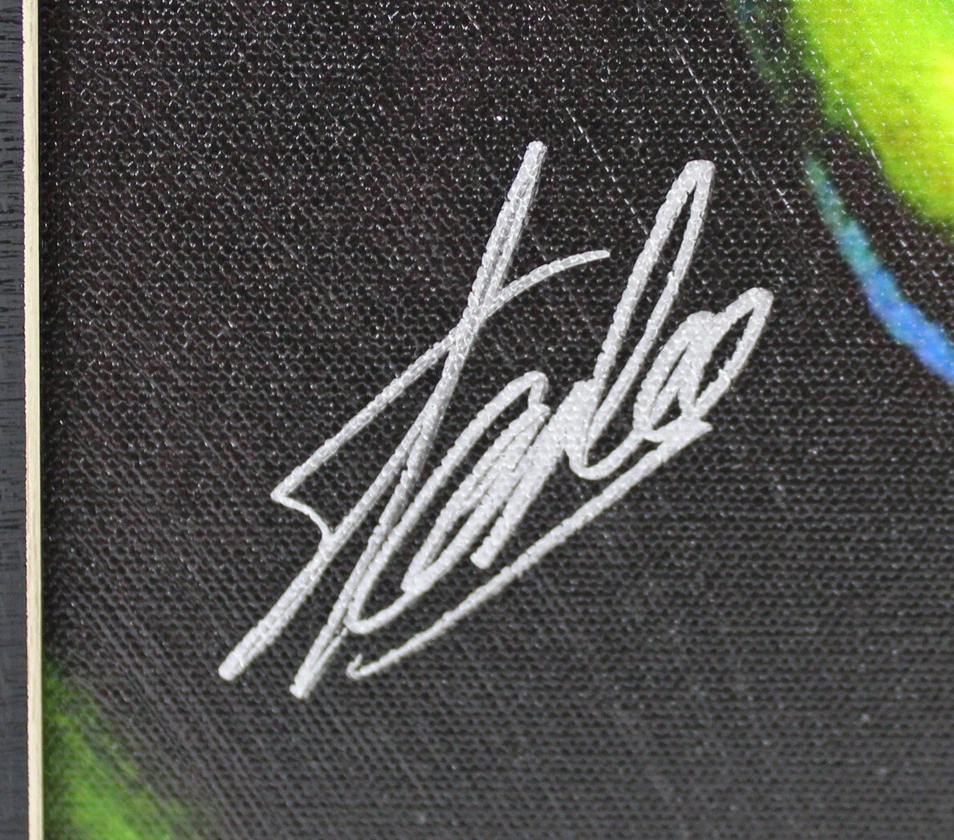 Stan Lee The Hulk Authentic Signed 16x20 Framed Canvas PSA/DNA #W18518