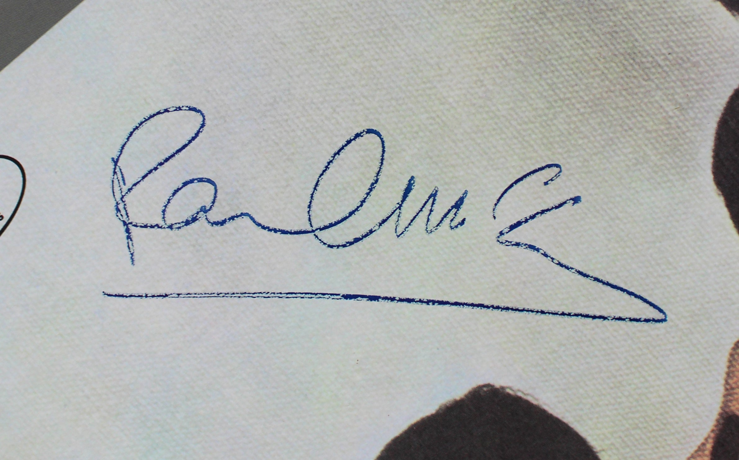 Paul McCartney Beatles Signed Yesterday & Today Album Cover w Vinyl PSA #AB04568