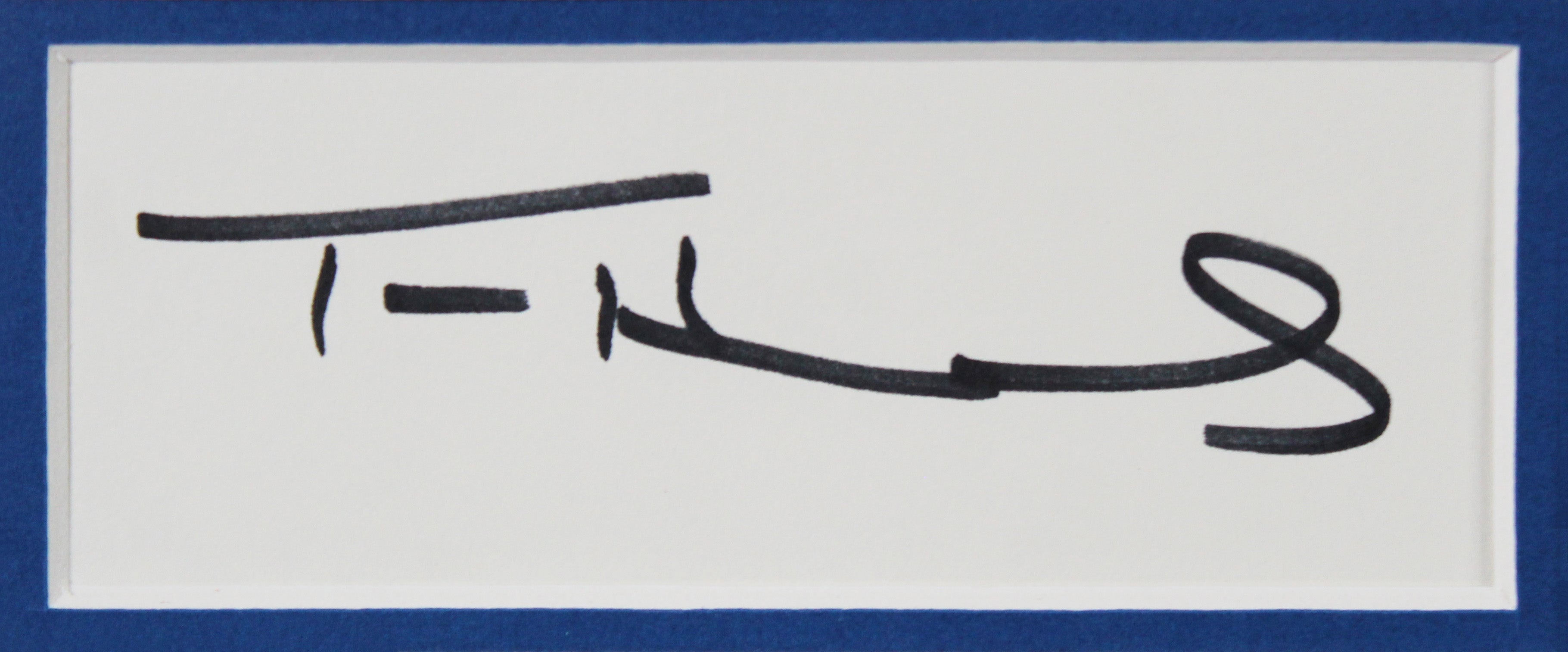 Tom Hanks & Gary Sinise Forrest Gump Signed Framed Display BAS #AC26575