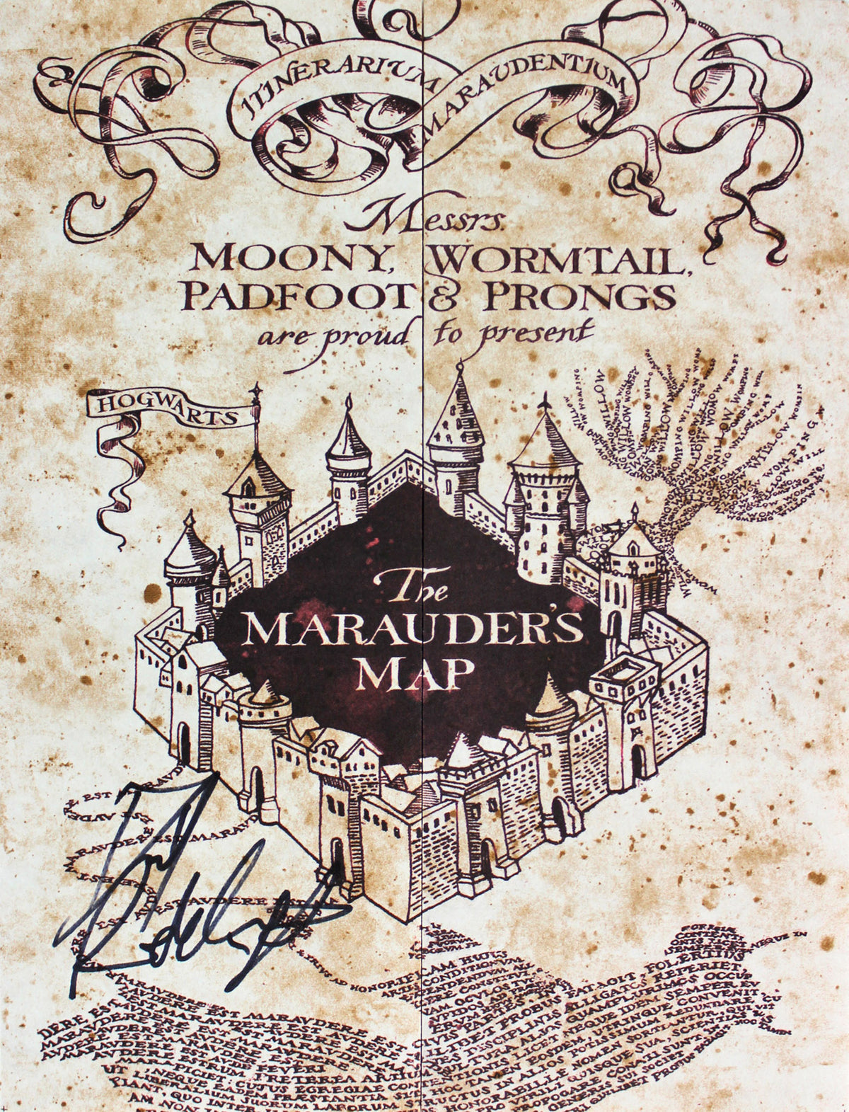 Daniel Radcliffe Signed 9 x 26.5 Harry Potter The Marauder's Map BAS #F84007