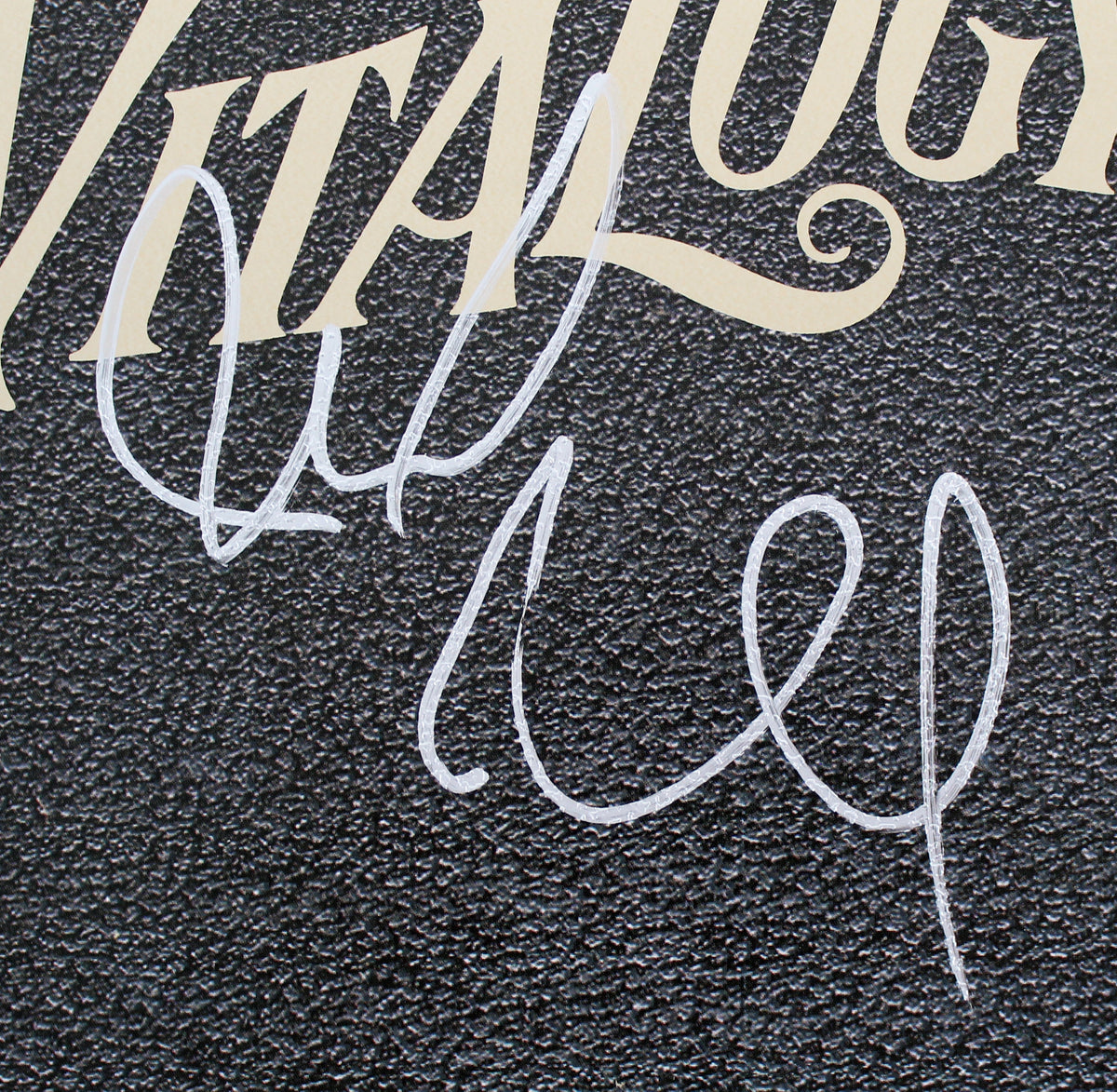 Mike McCready Pearl Jam Signed Vitalogy Album Cover W/ Vinyl BAS #S12894