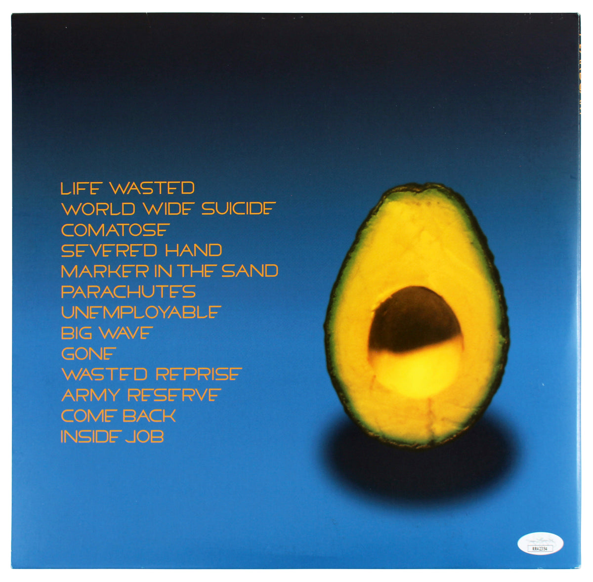 Stone Gossard Pearl Jam Signed Avocado Album Cover W/ Vinyl JSA #rr42354