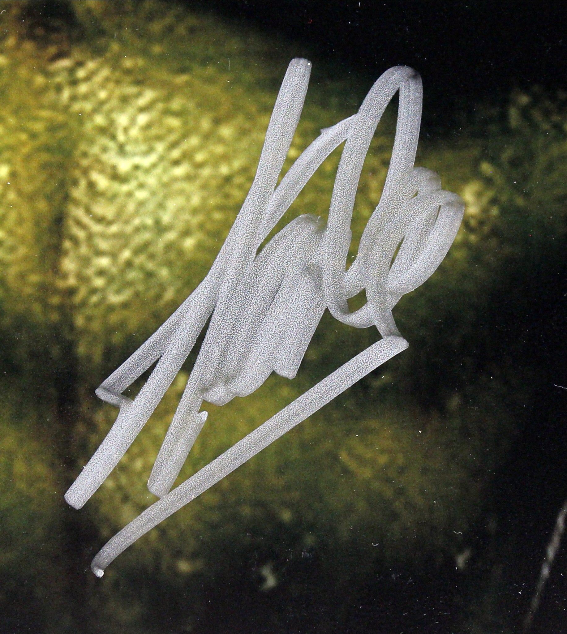 Stan Lee Marvel Authentic Signed 16x20 Hulk Photo Autographed PSA Itp #6A20659