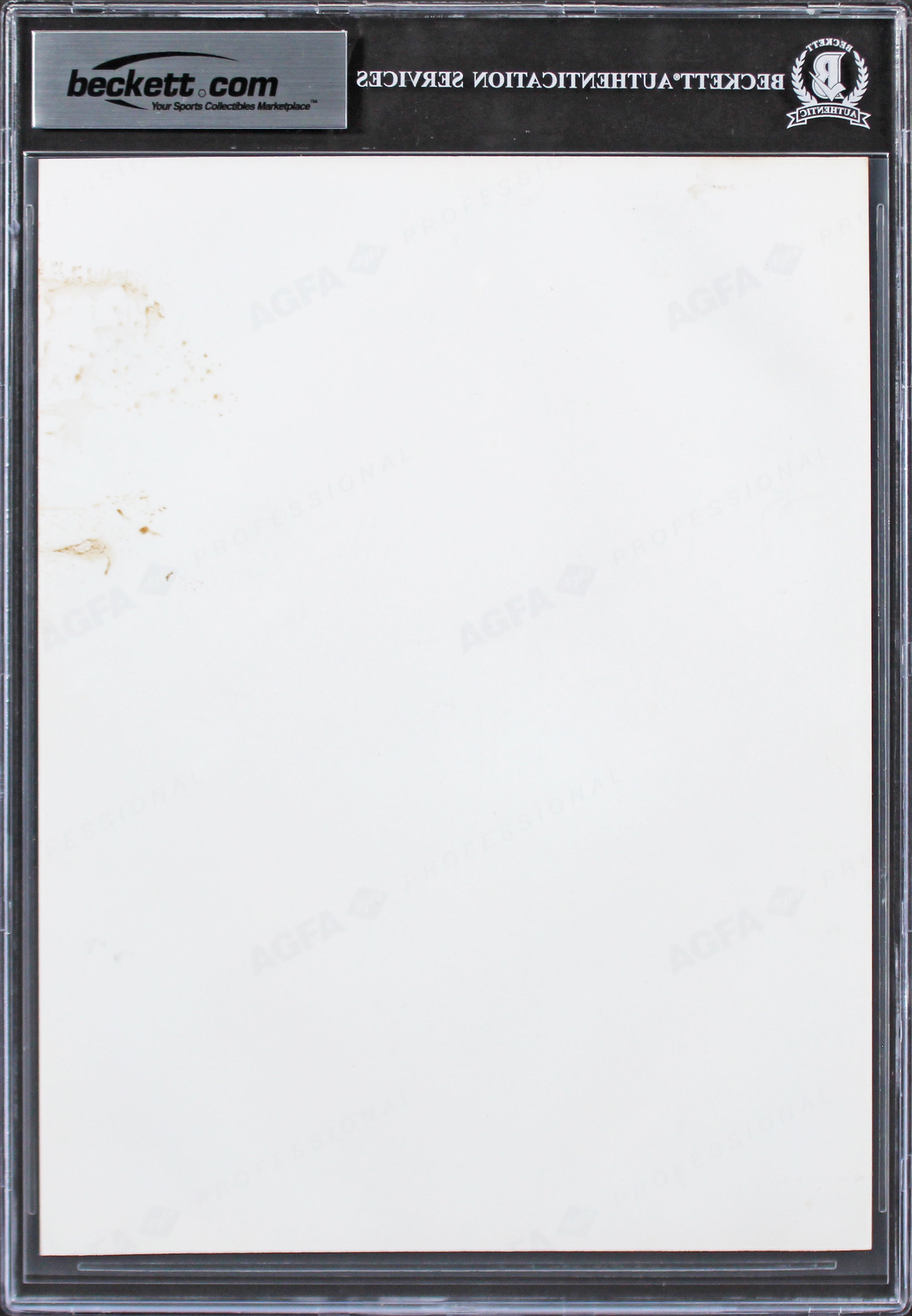 The Who (3) Townshend, Daltry & Entwistle Authentic Signed 8x10 Photo BAS Slab