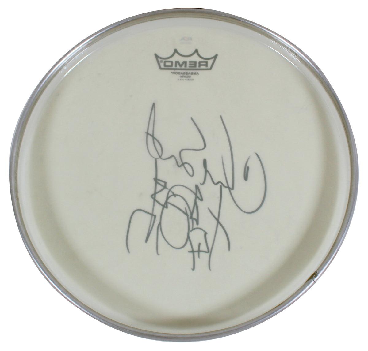 Chad Smith RHCP Authentic Signed 12 Inch Drum Head PSA/DNA #AM19980
