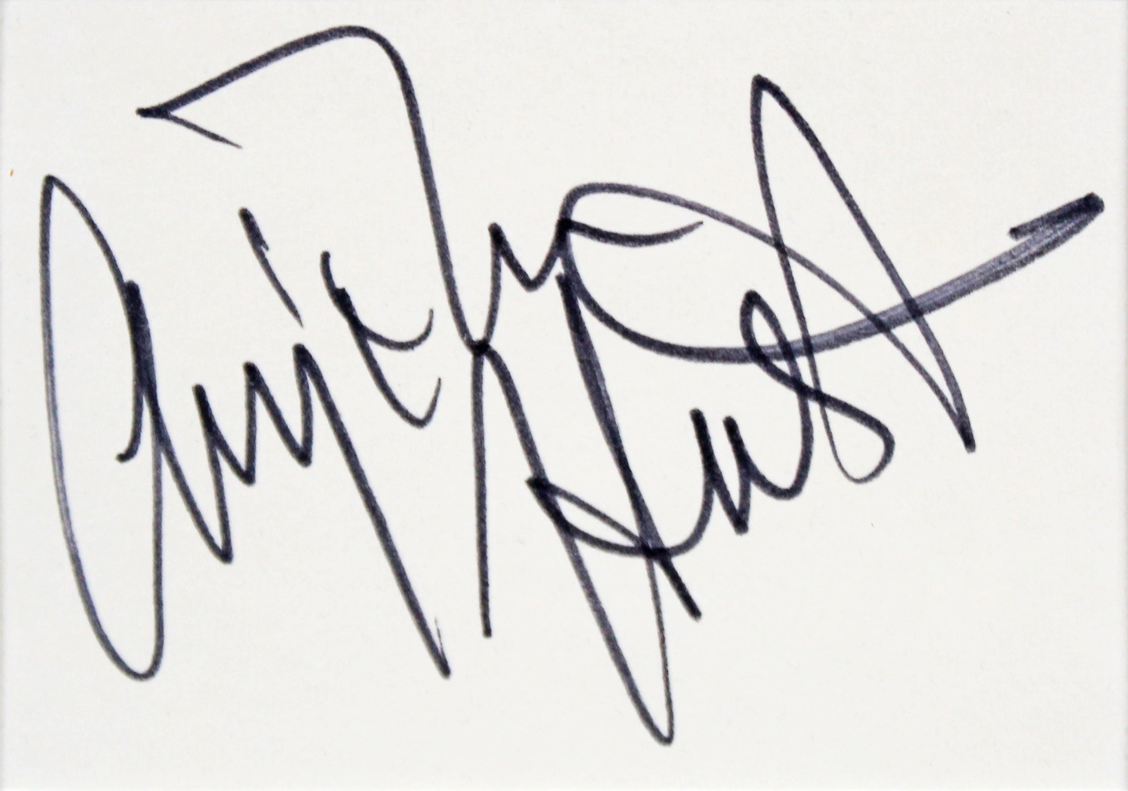 Addams Family (7) Houston, Julia, Ricci, Lloyd +3 Signed Framed Display BAS LOA