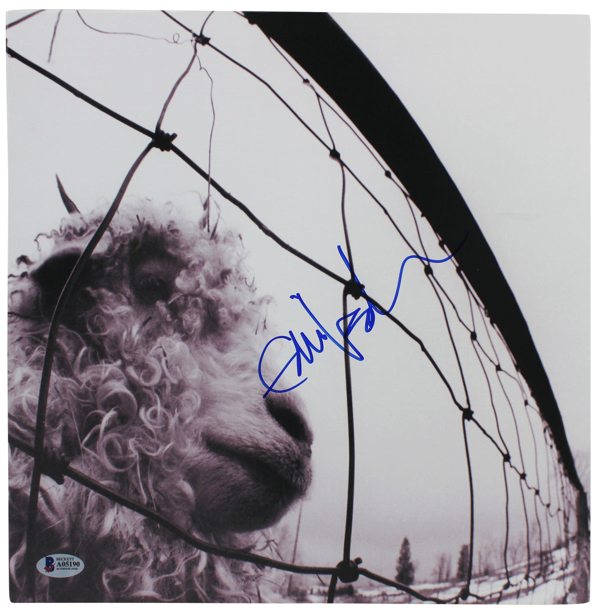 Eddie Vedder Pearl Jam Authentic Signed VS. Album Cover W/ Vinyl BAS #A05190