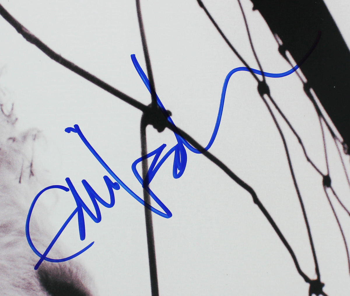 Eddie Vedder Pearl Jam Authentic Signed VS. Album Cover W/ Vinyl BAS #A05190
