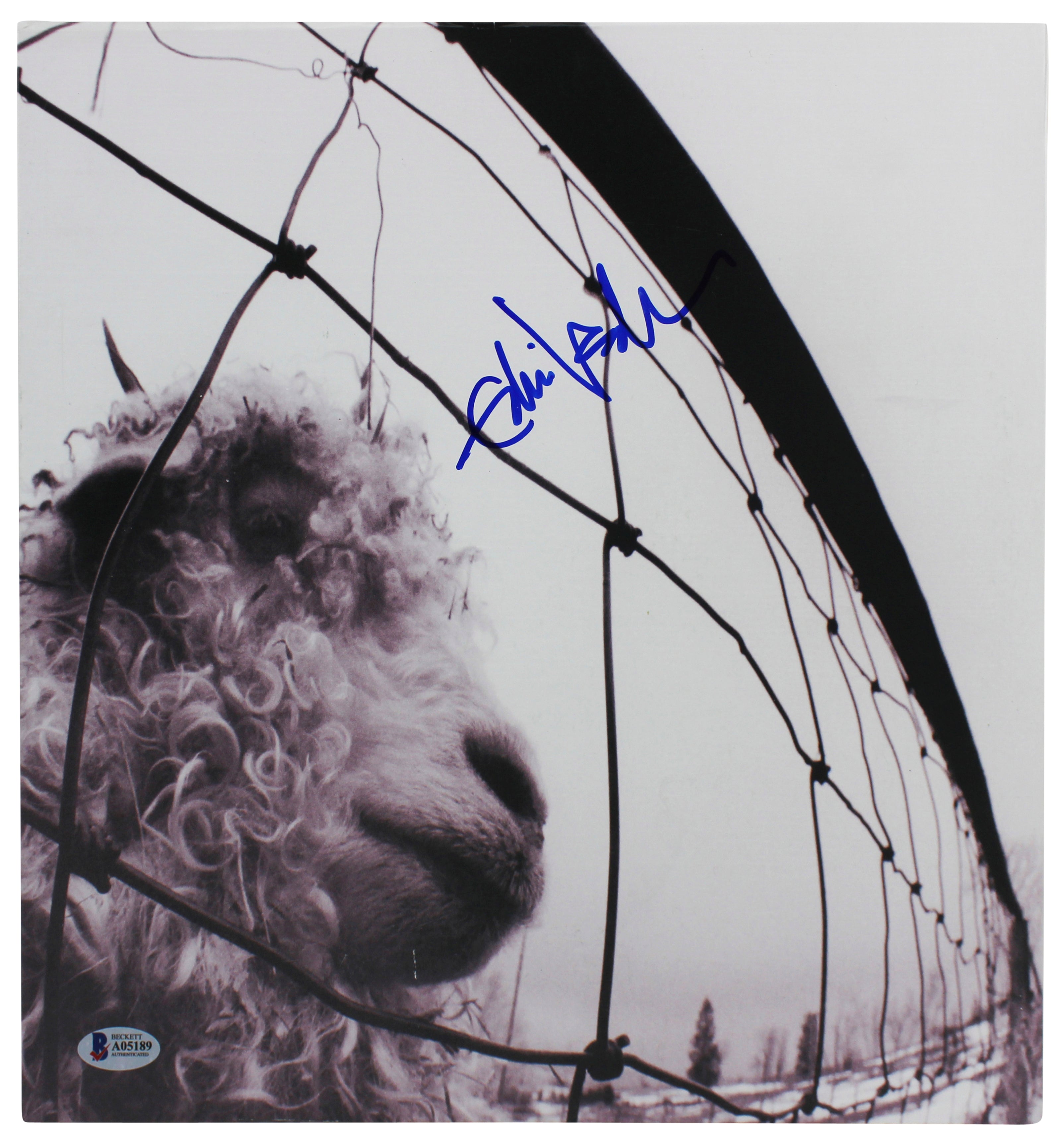 Eddie Vedder Pearl Jam Authentic Signed VS. Album Cover W/ Vinyl BAS #A05189