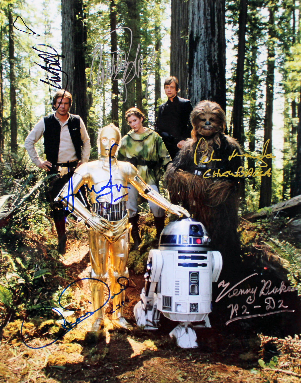 Star Wars (6) Ford, Hamill, Fisher, Daniels +2 Signed 11x14 Photo BAS #A68430