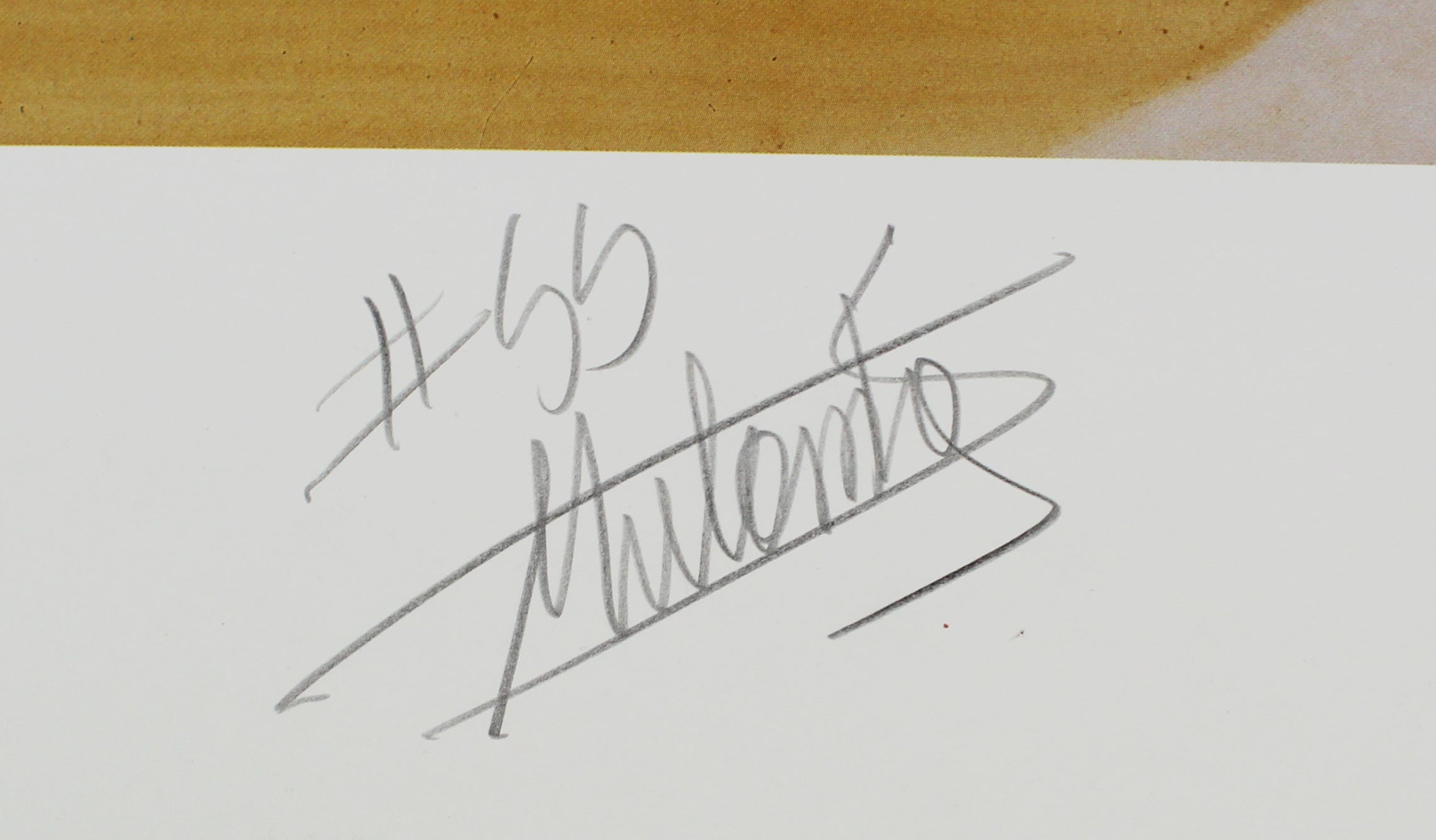 Nuggets Dikembe Mutumbo Signed 20x26.5 Lithograph LE #382/500 BAS #BJ06317