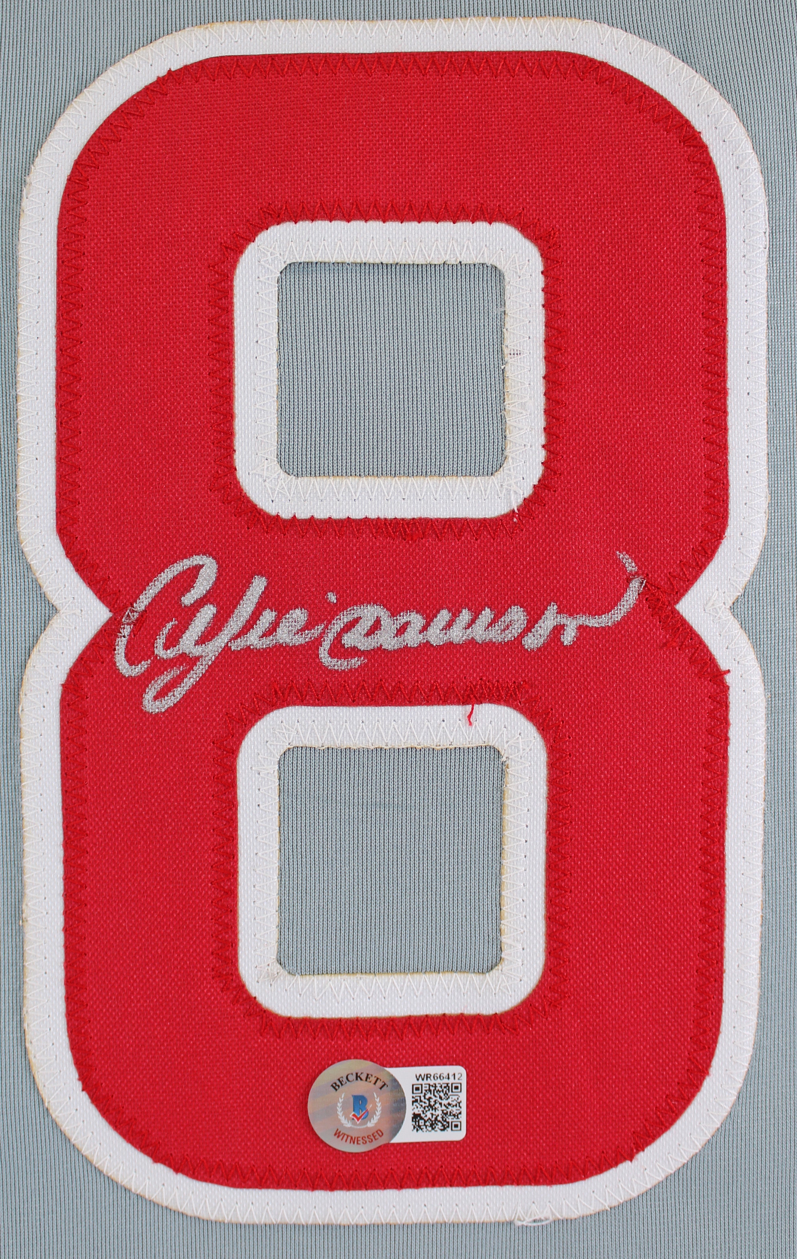 Andre Dawson Authentic Signed Grey Pro Style Jersey Autographed BAS Witnessed