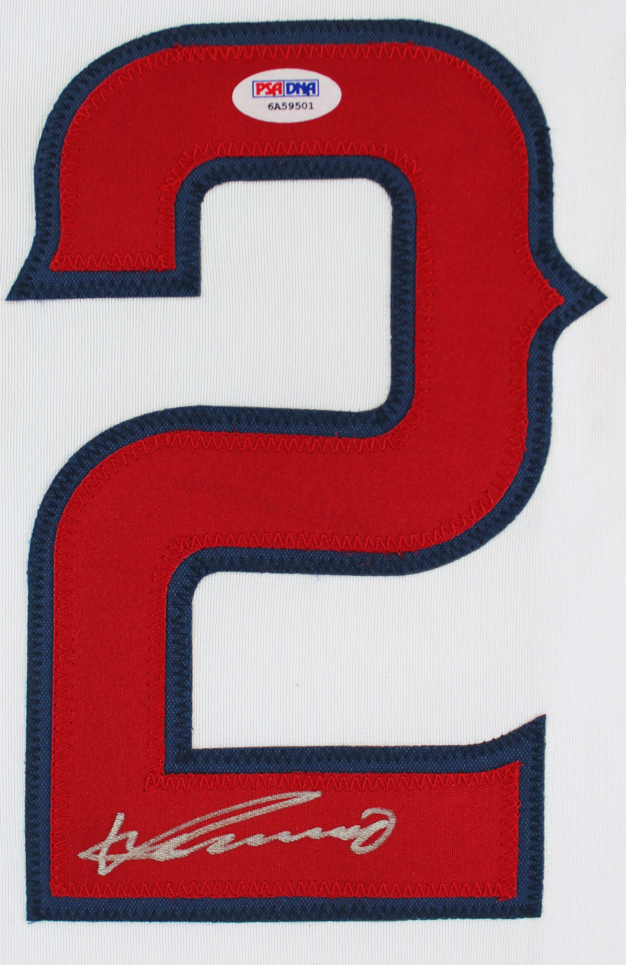 Vladimir Guerrero Authentic Signed White Pro Style Jersey Autographed PSA/DNA