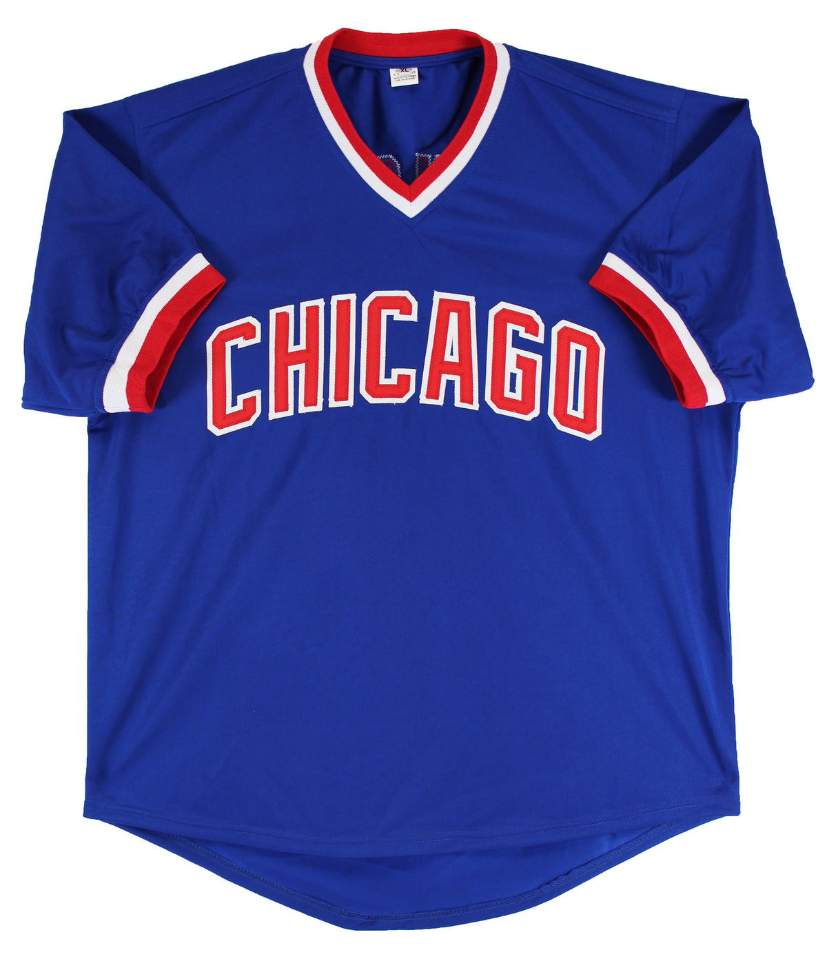 Andre Dawson "HOF 2010" Authentic Signed Blue Pro Style Jersey JSA Witness