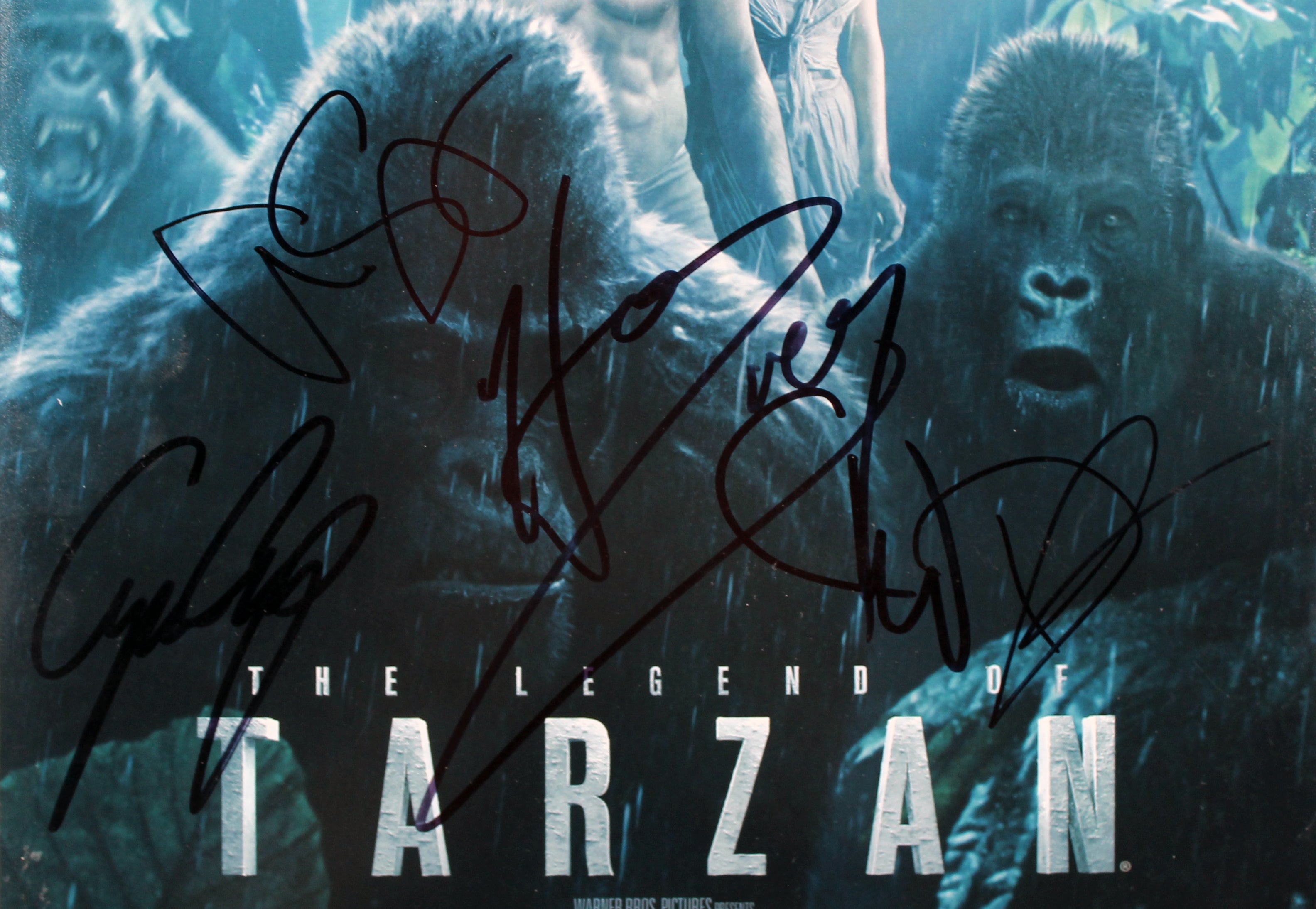 The Legend of Tarzan (5) Skarsgard, Waltz, Crump, +2 Signed 12x18 Photo BAS