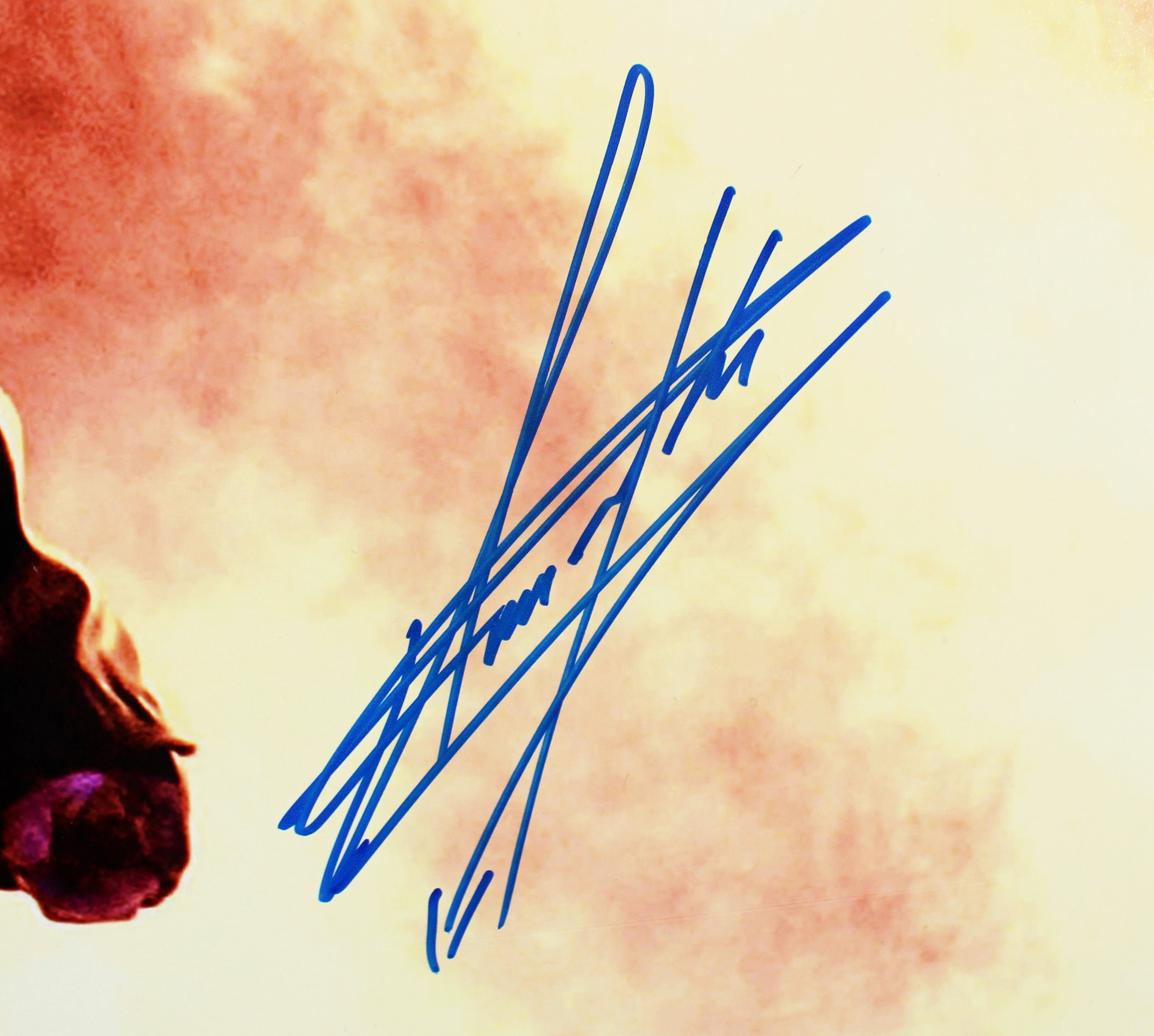 The Undertaker WWE Authentic Signed 16x20 Horizontal Fire Photo BAS Witnessed