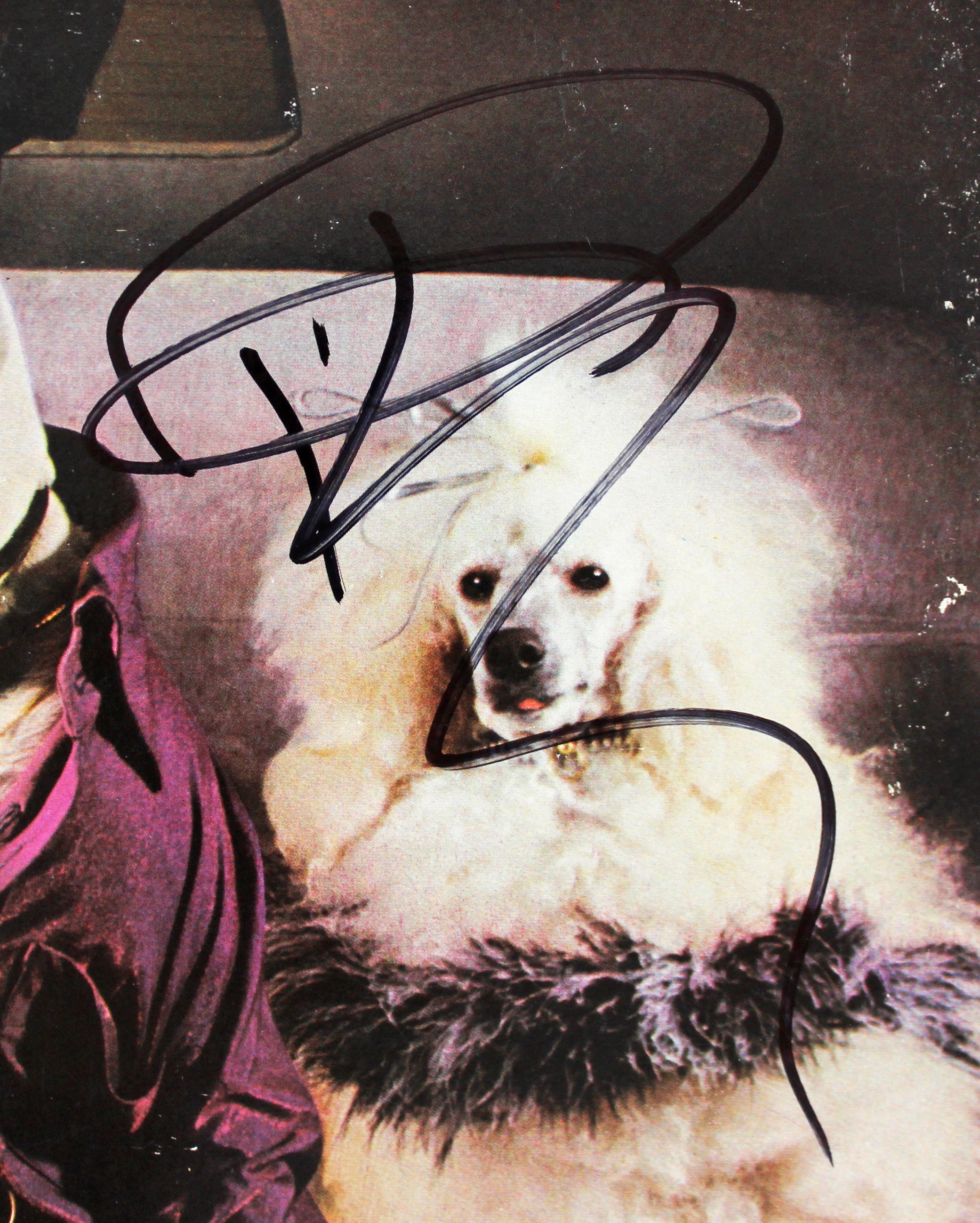 Rick Springfield Signed Success Hasn't Spoiled Me Yet Album Cover BAS #BG79178